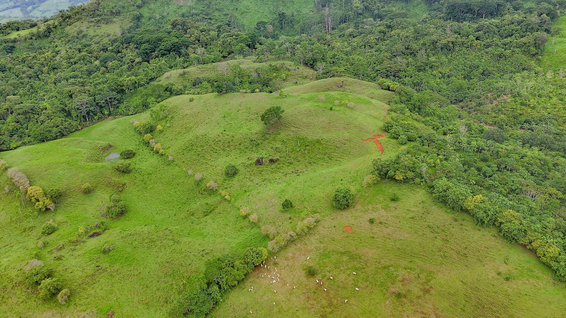 Breathtaking 210 Foot Waterfall on Over 200 Acres of Land in the Lush Hills & Mountains of Perez Zeledon – with SO MANY Additional Development Options!