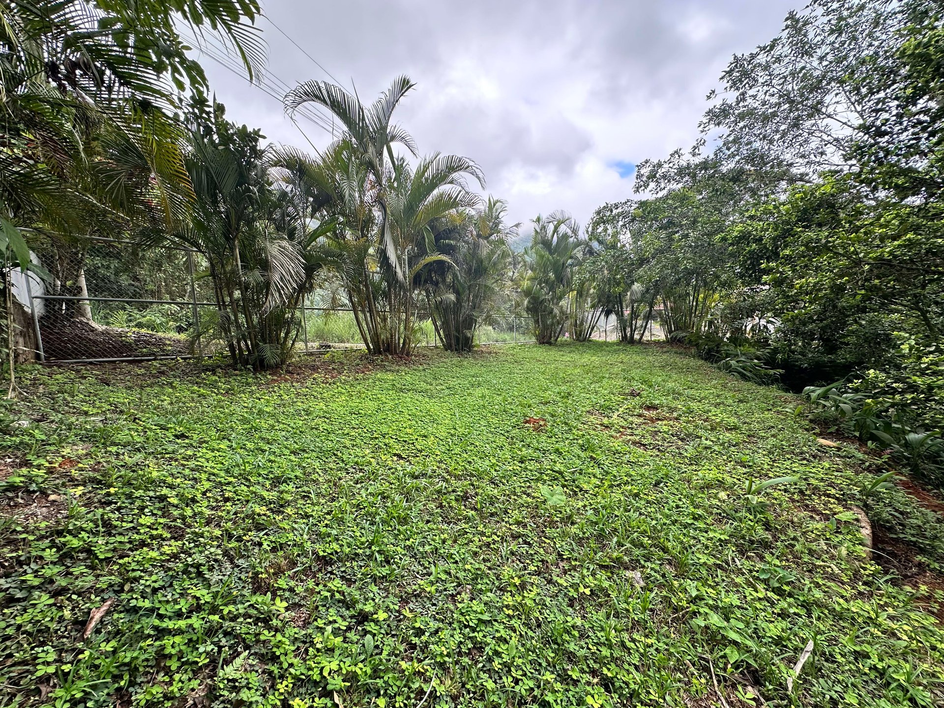 Discover the Charm of an Exotic Home in Las Tumbas, Costa Rica