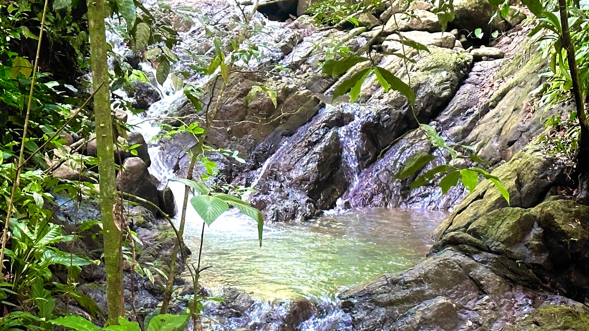 Tranquil Oasis: 8.8 Acres of Pristine Paradise in Dominicalito, Costa Rica