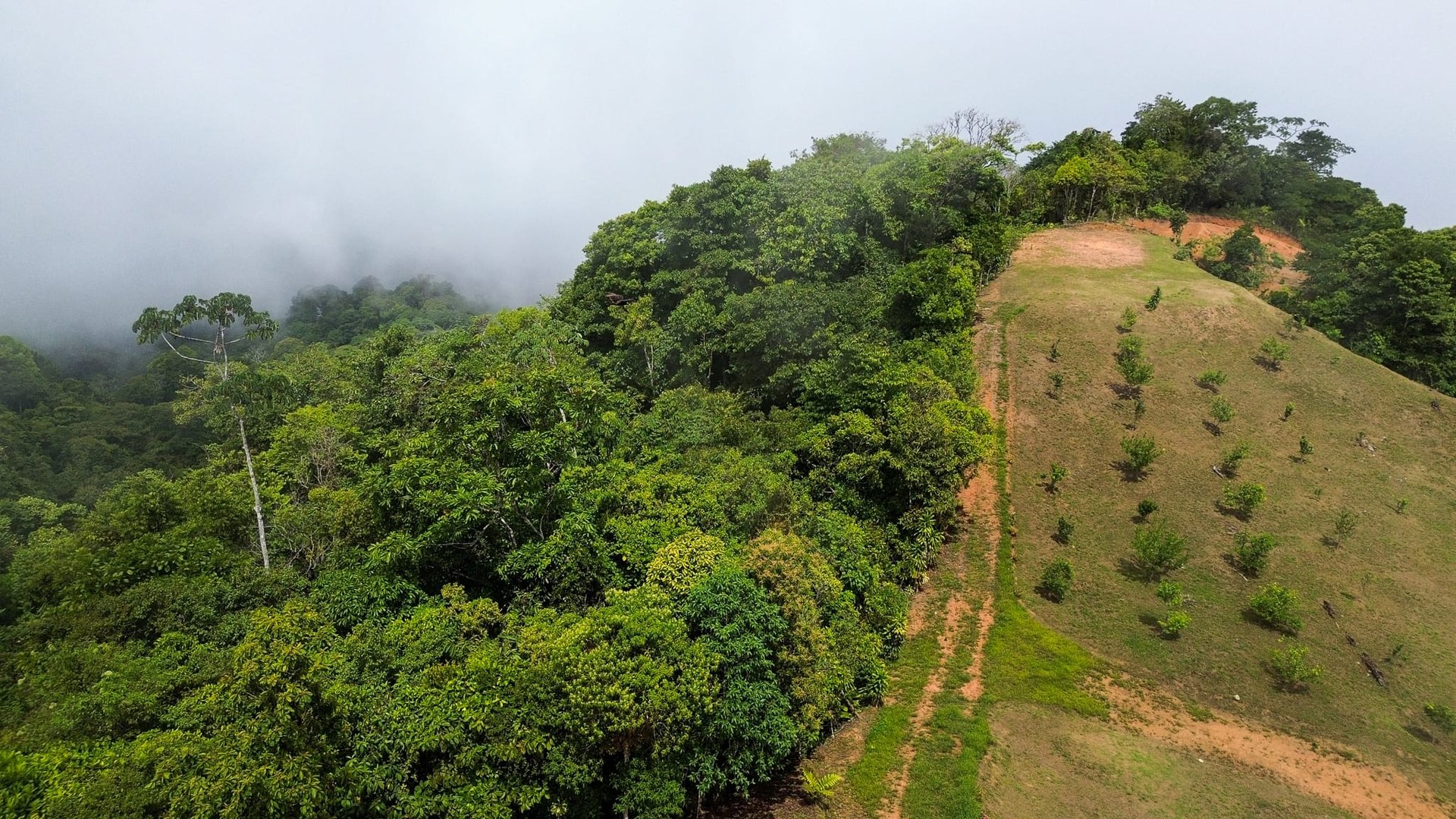 Ocean, Mountain and waterfall View Lot