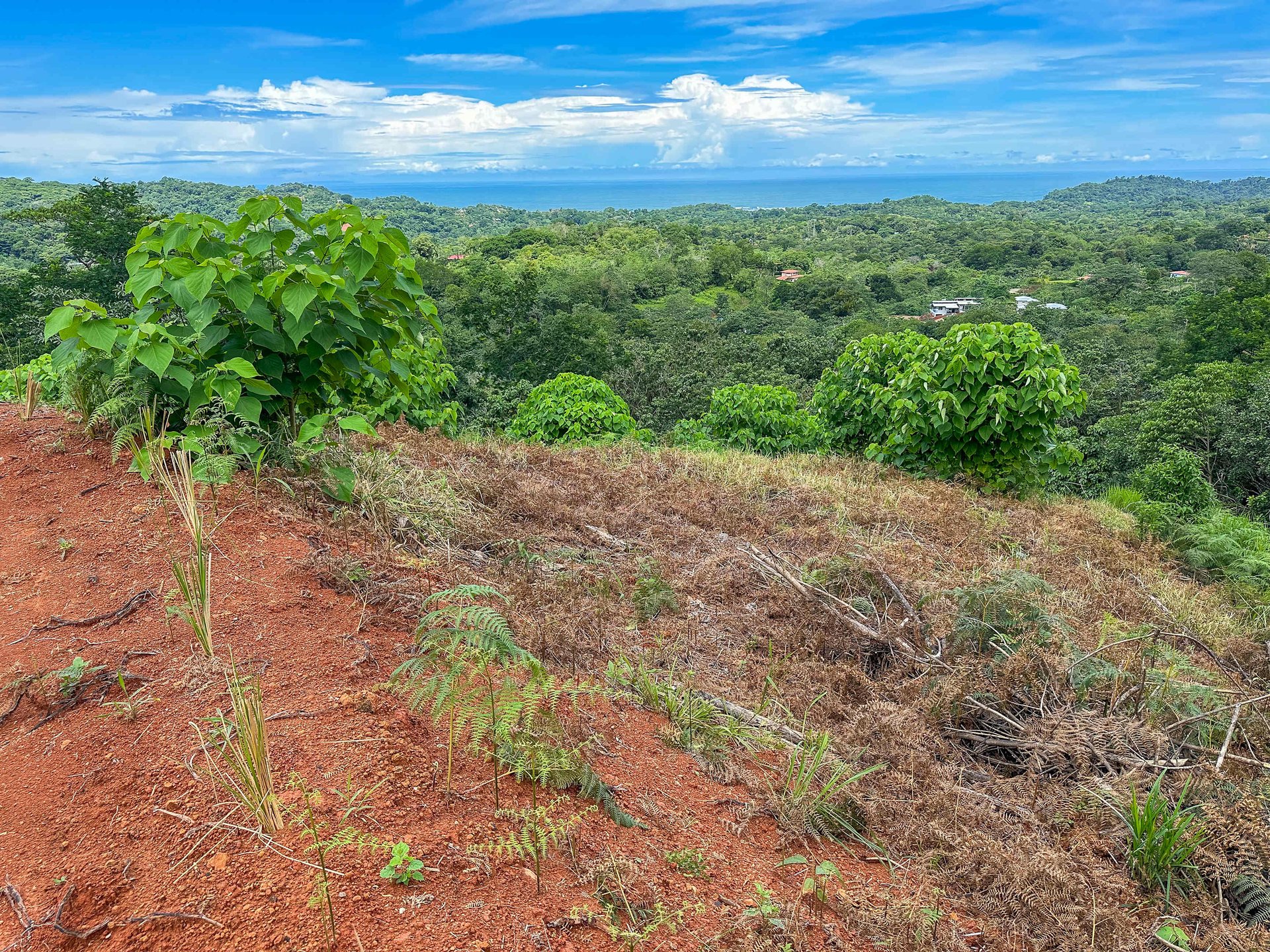 5 Acre Lot With A Sweeping Ocean And Sunset View, Ojochal Phase 9. LEGAL WATER!