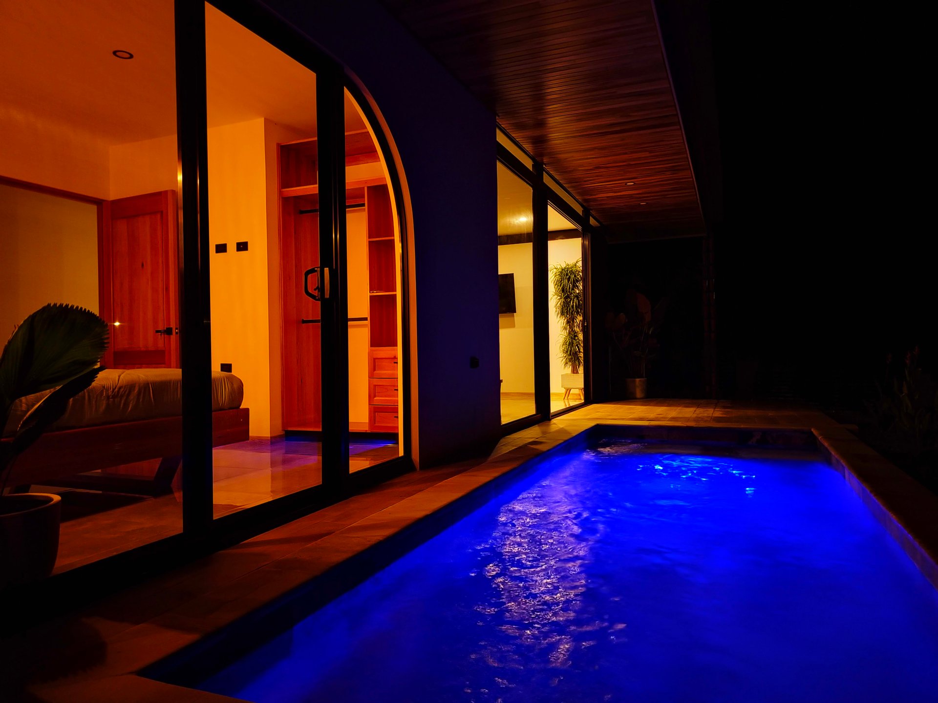 Jungle, Ocean, and exclusive elements to live in the tropics at Casa Elementum