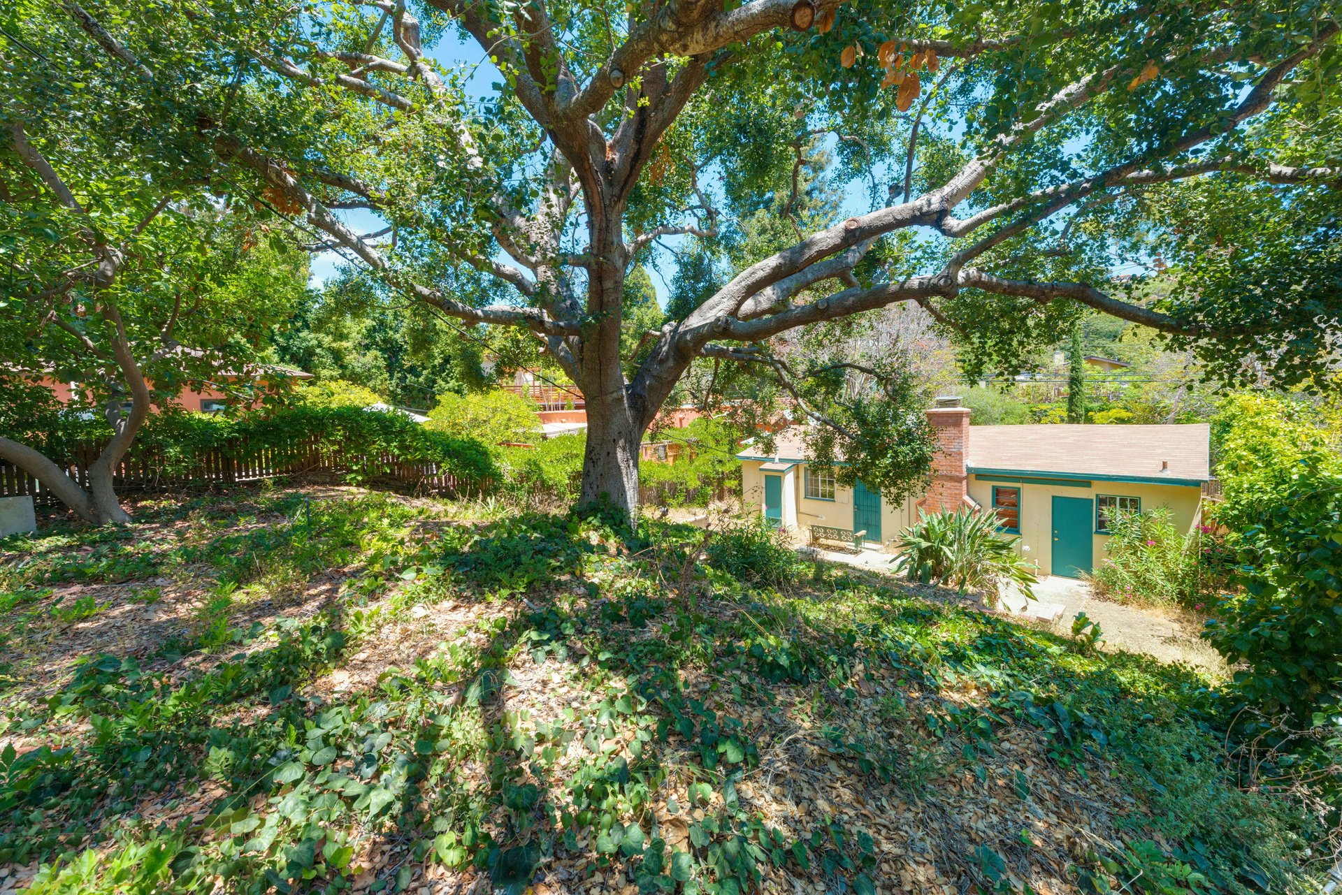 447 Sycamore Rd