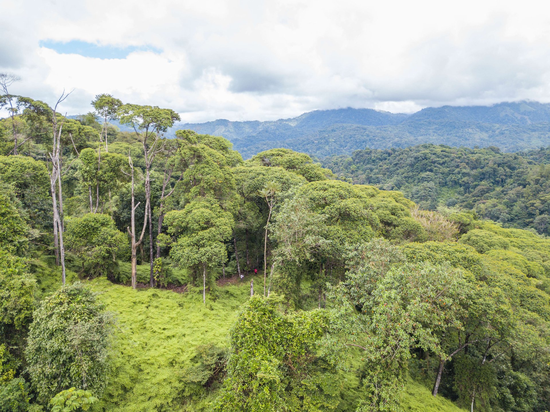 Mountain land with ocean view of Manuel Antonio/Quepos Quepos Puntarenas
