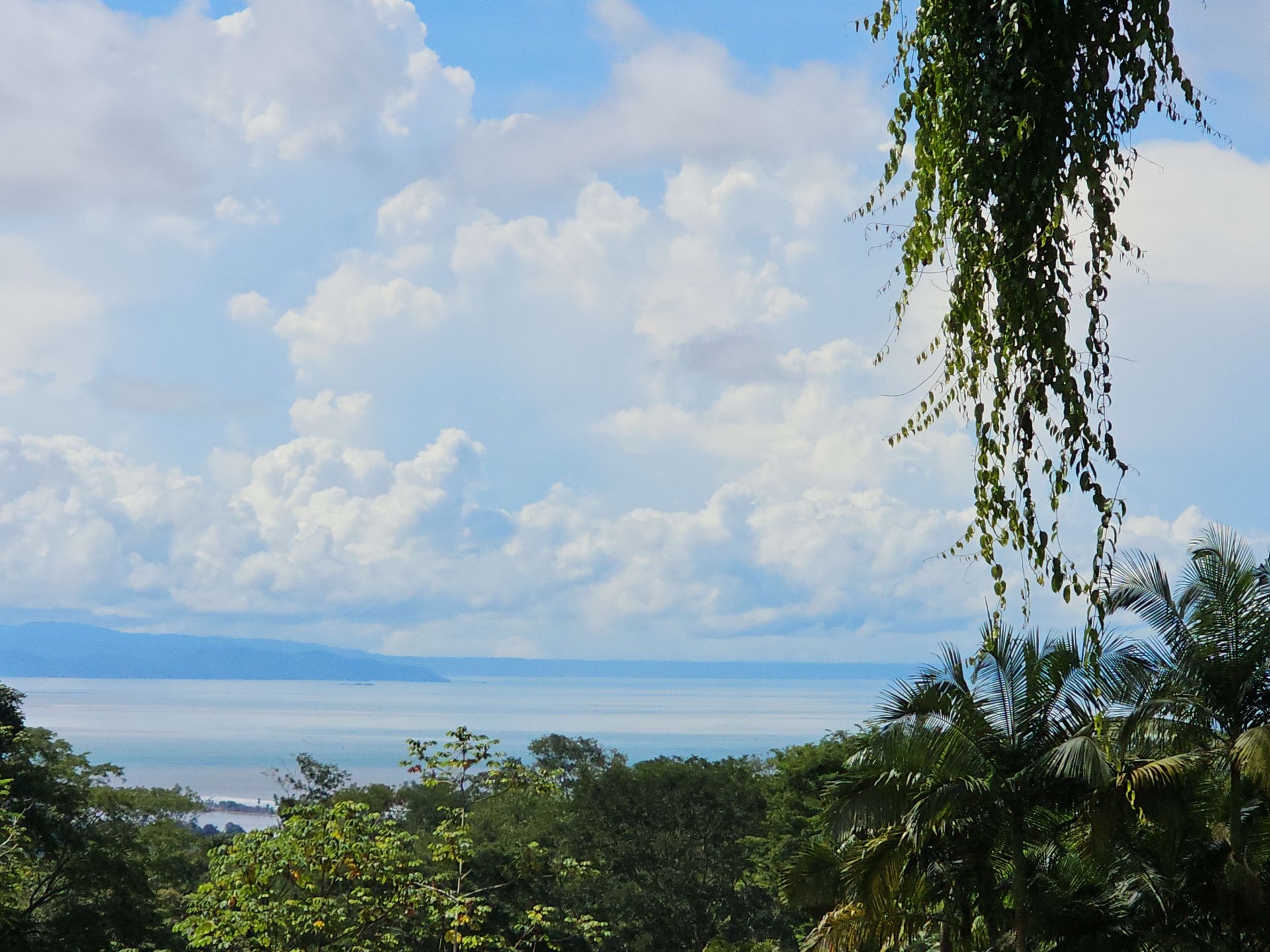 Jungle, Ocean, and exclusive elements to live in the tropics at Casa Elementum