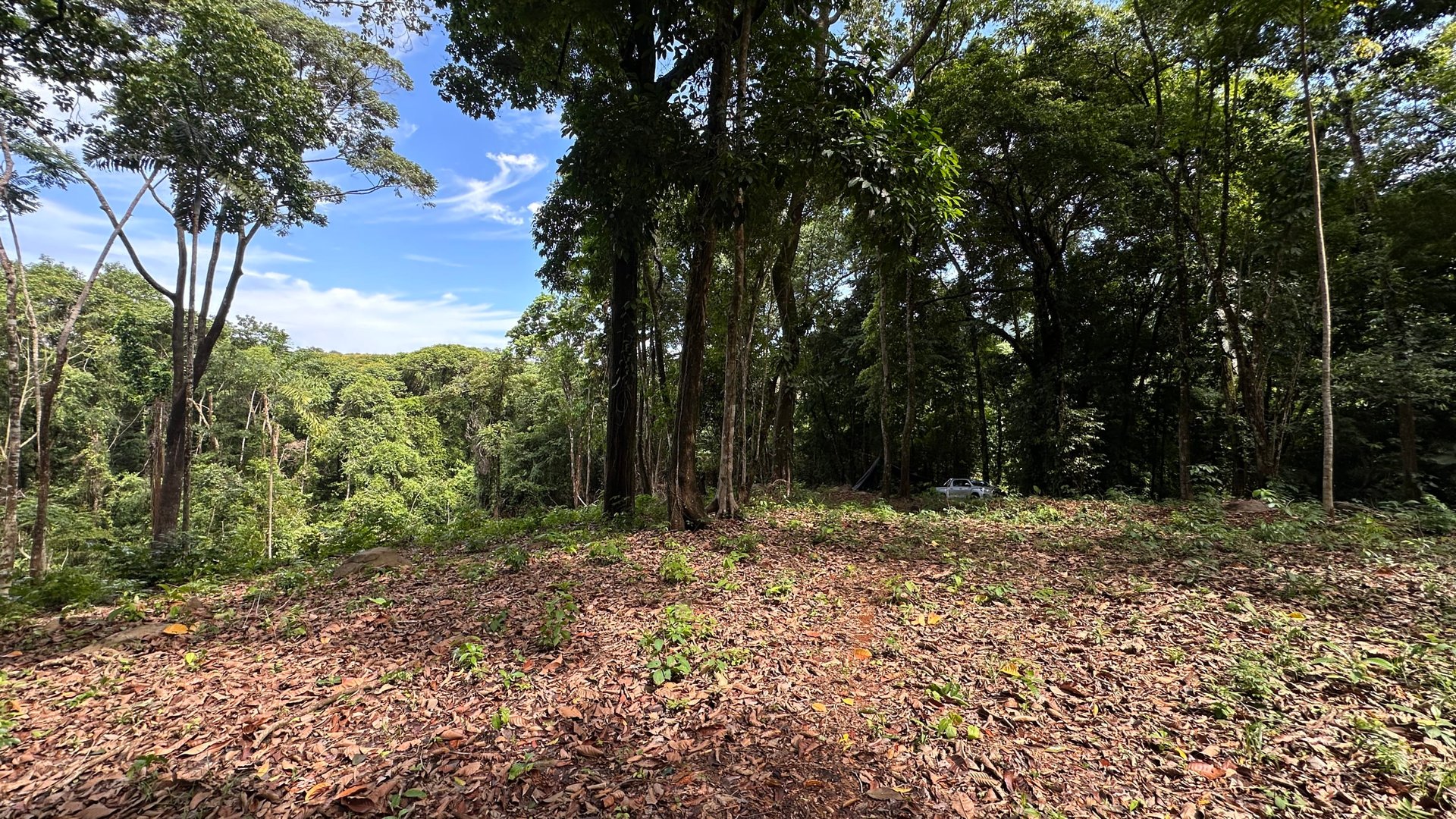 Tranquil Oasis: 8.8 Acres of Pristine Paradise in Dominicalito, Costa Rica