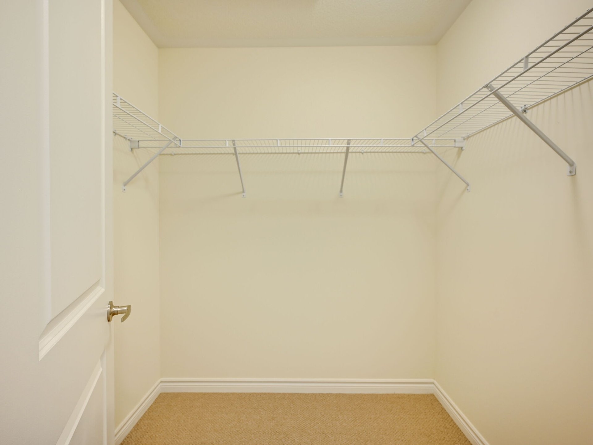 65 Ferragine Cres