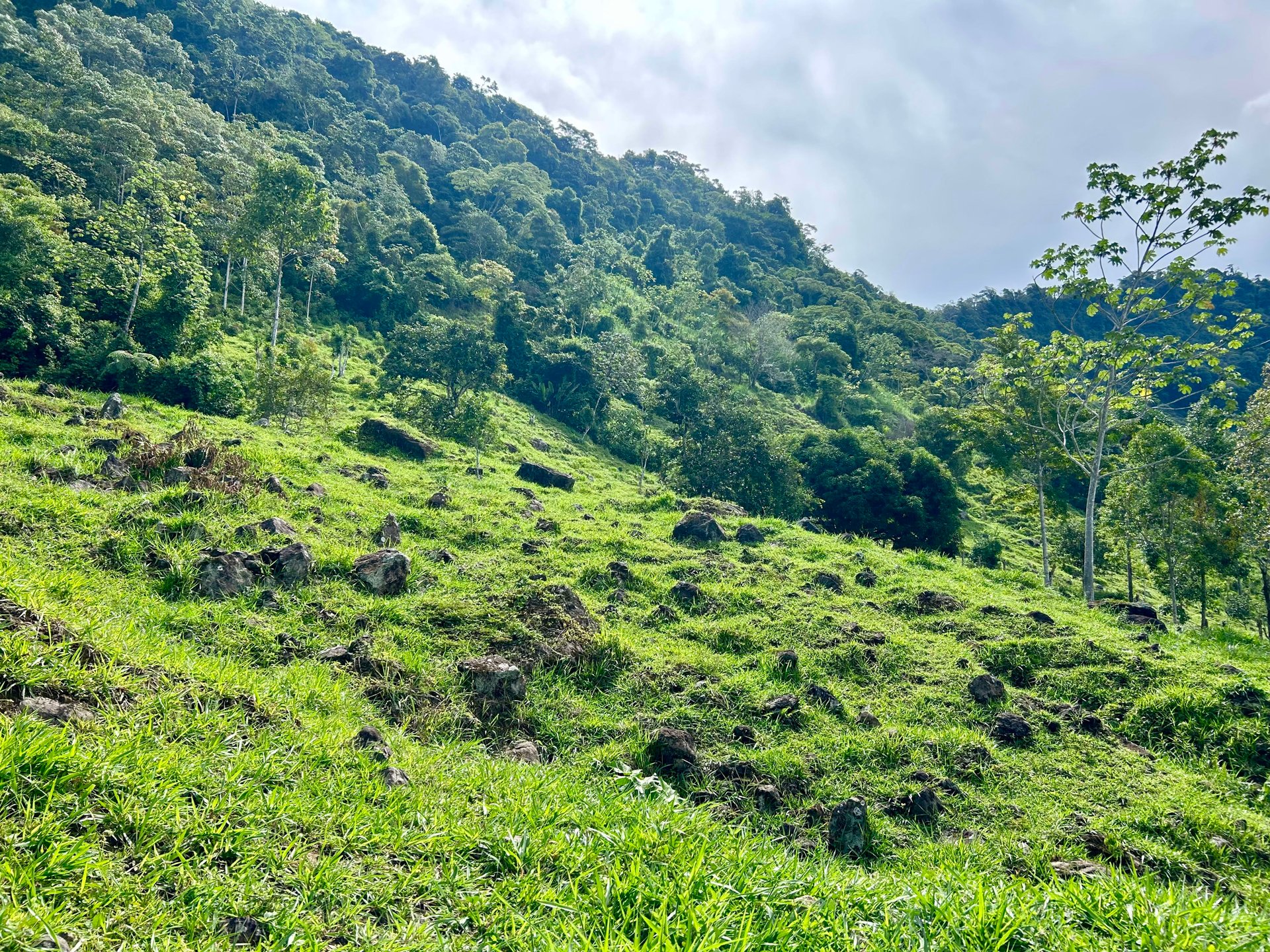 FIRE SALE!! Ocean View Farm in San Luis de Morete, Over 23 Acres