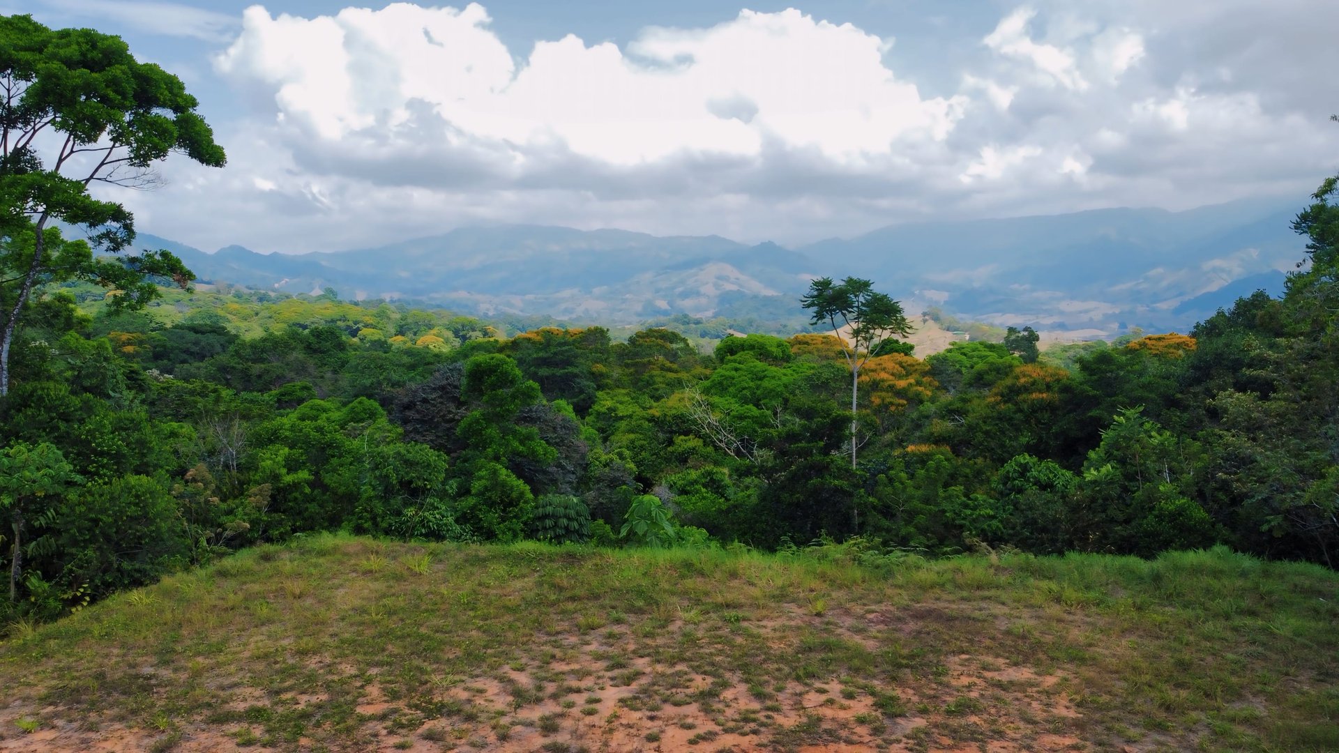 2 Acres of Paradise in Platanillo with Legal Water.