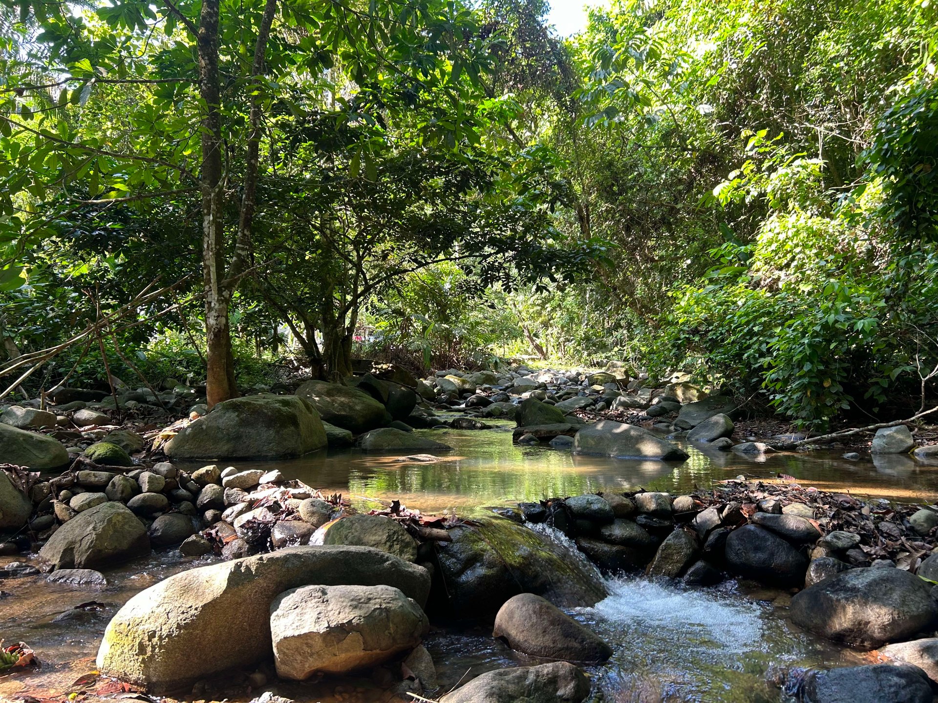 Surfer's Dream in Ojochal; 3 Bedrooms, 2 Bathrooms with Pool and River Access
