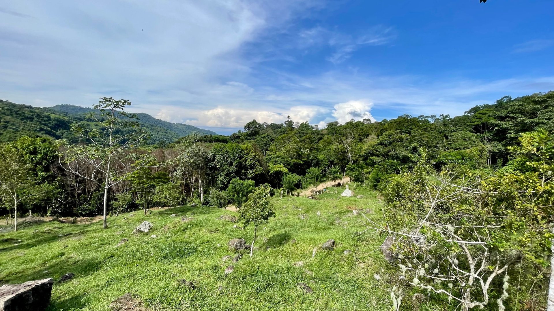FIRE SALE!! Ocean View Farm in San Luis de Morete, Over 23 Acres