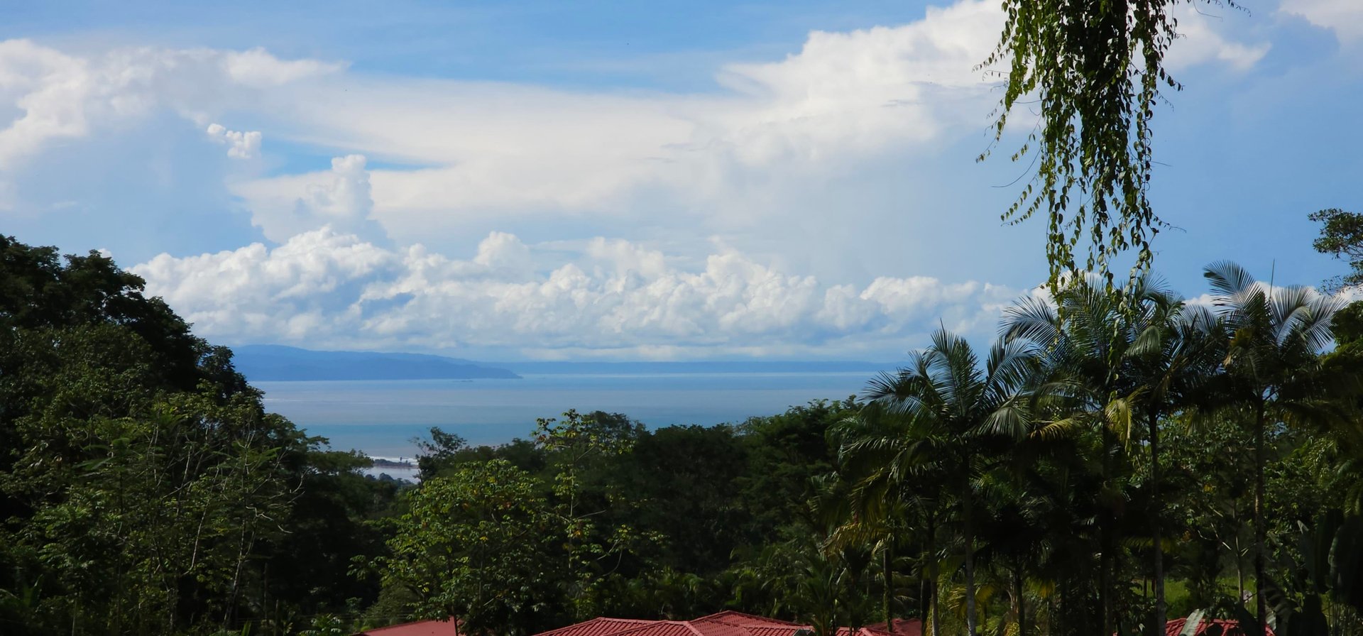 Jungle, Ocean, and exclusive elements to live in the tropics at Casa Elementum