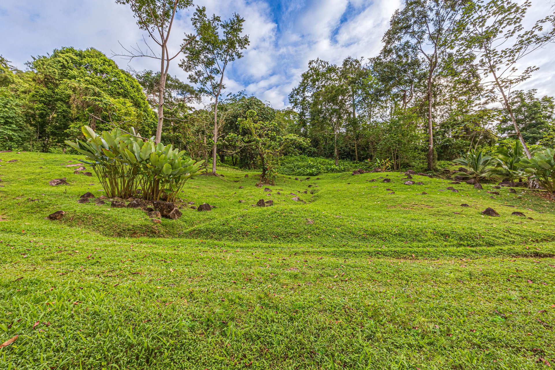 Embrace Harmony in Nature on 12 Acres of Mountain and Ocean view Serenity