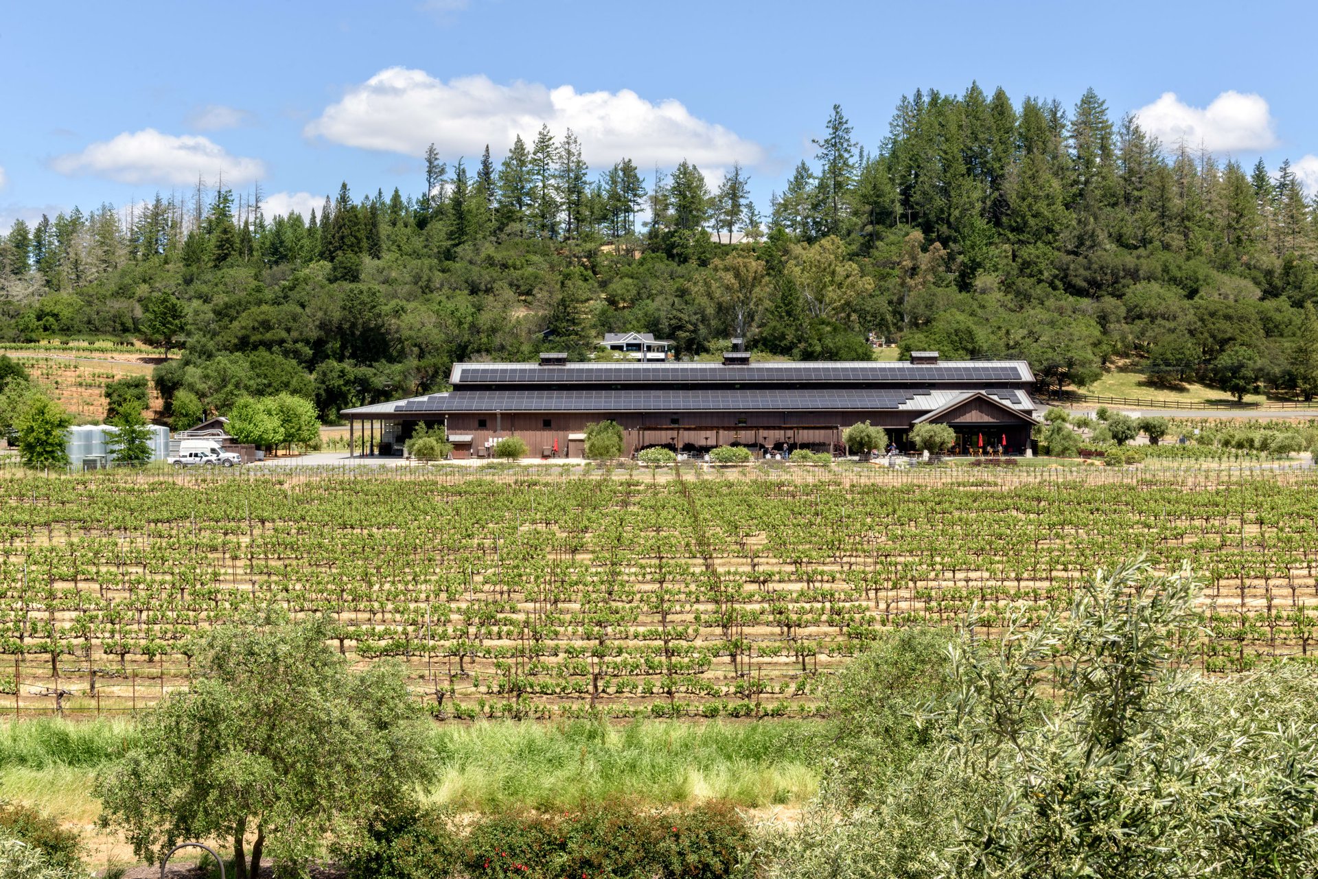 Dry Creek Valley -Production Facility, Tasting Room, & Guest Estate Residence 