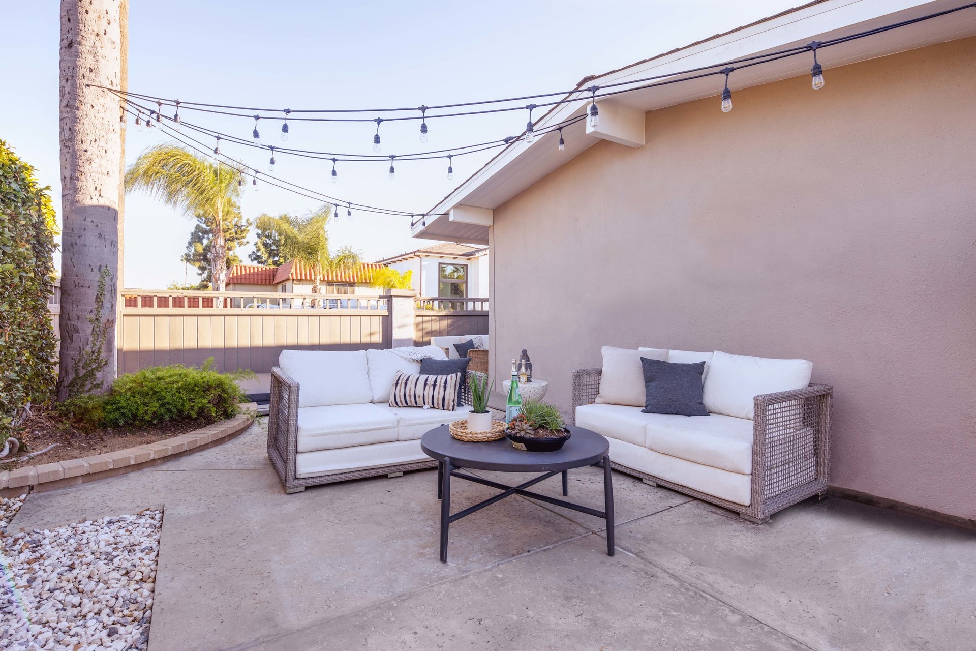 342 Peach Tree