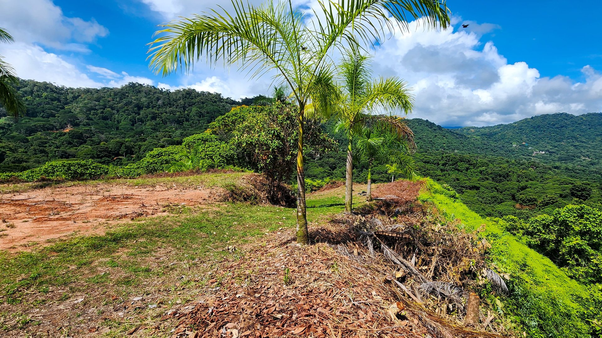 MANGO MANOR RIDGE PREMIER OCEAN VIEW PROPERTY IN DOMINICAL