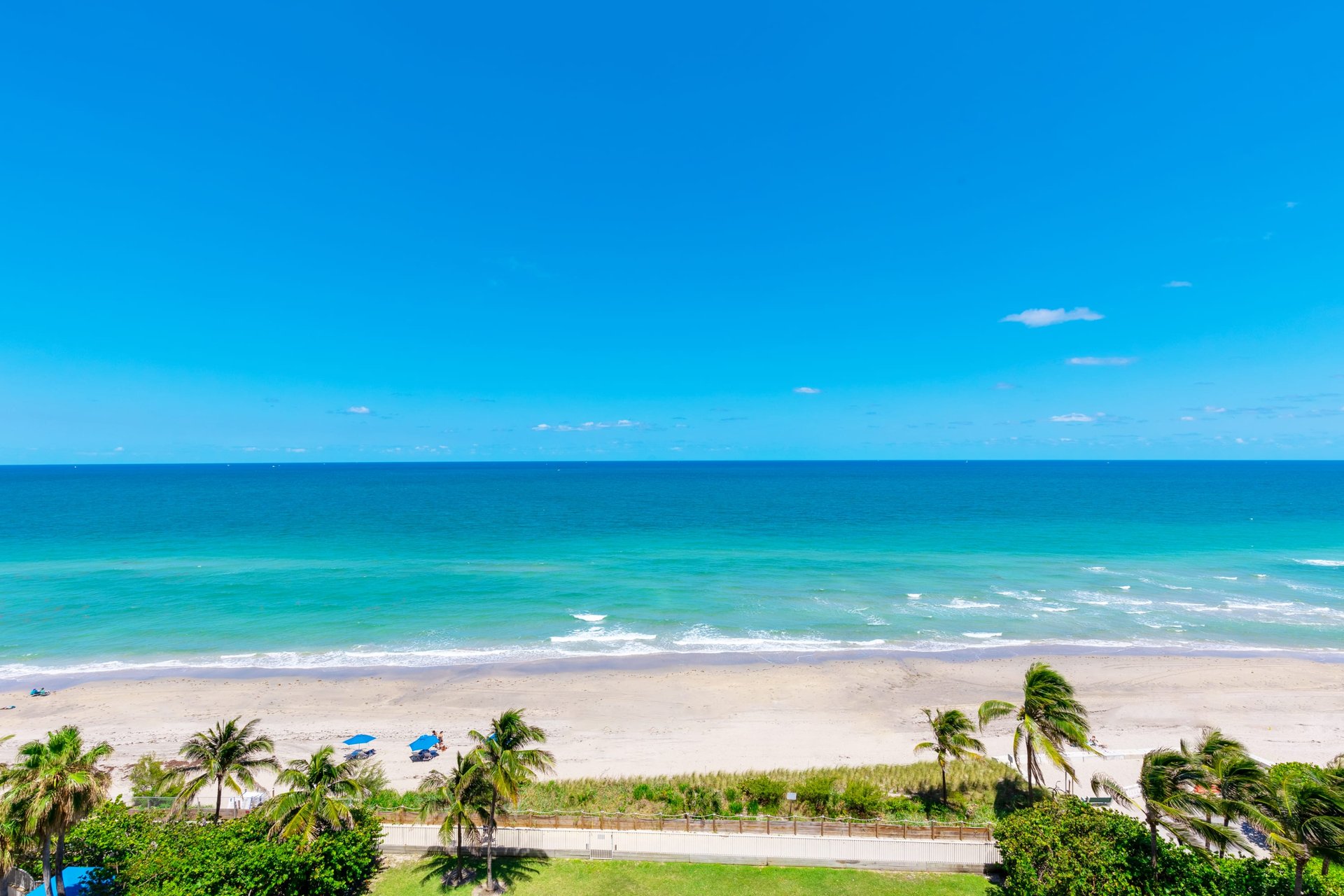 Renaissance on the Ocean