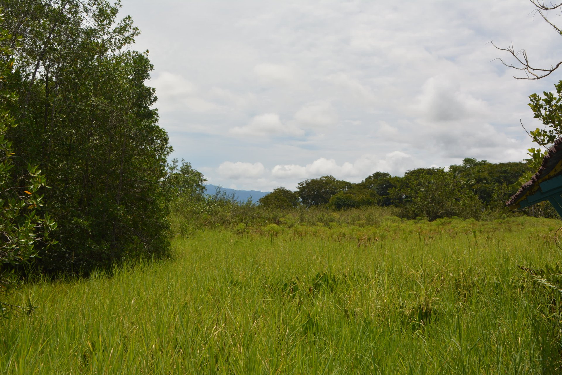 10 Acre Rio Sierpe Paradise Residential And Cabinas