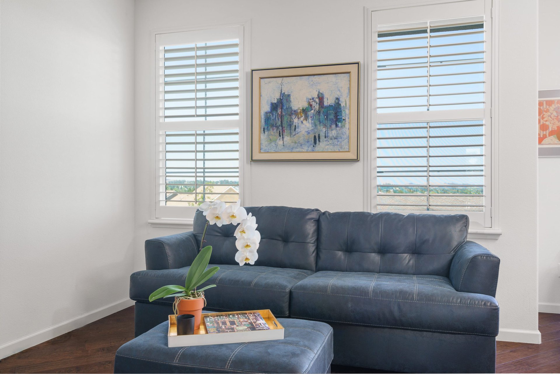 Petaluma River View Home in Quarry Heights- Represented Seller