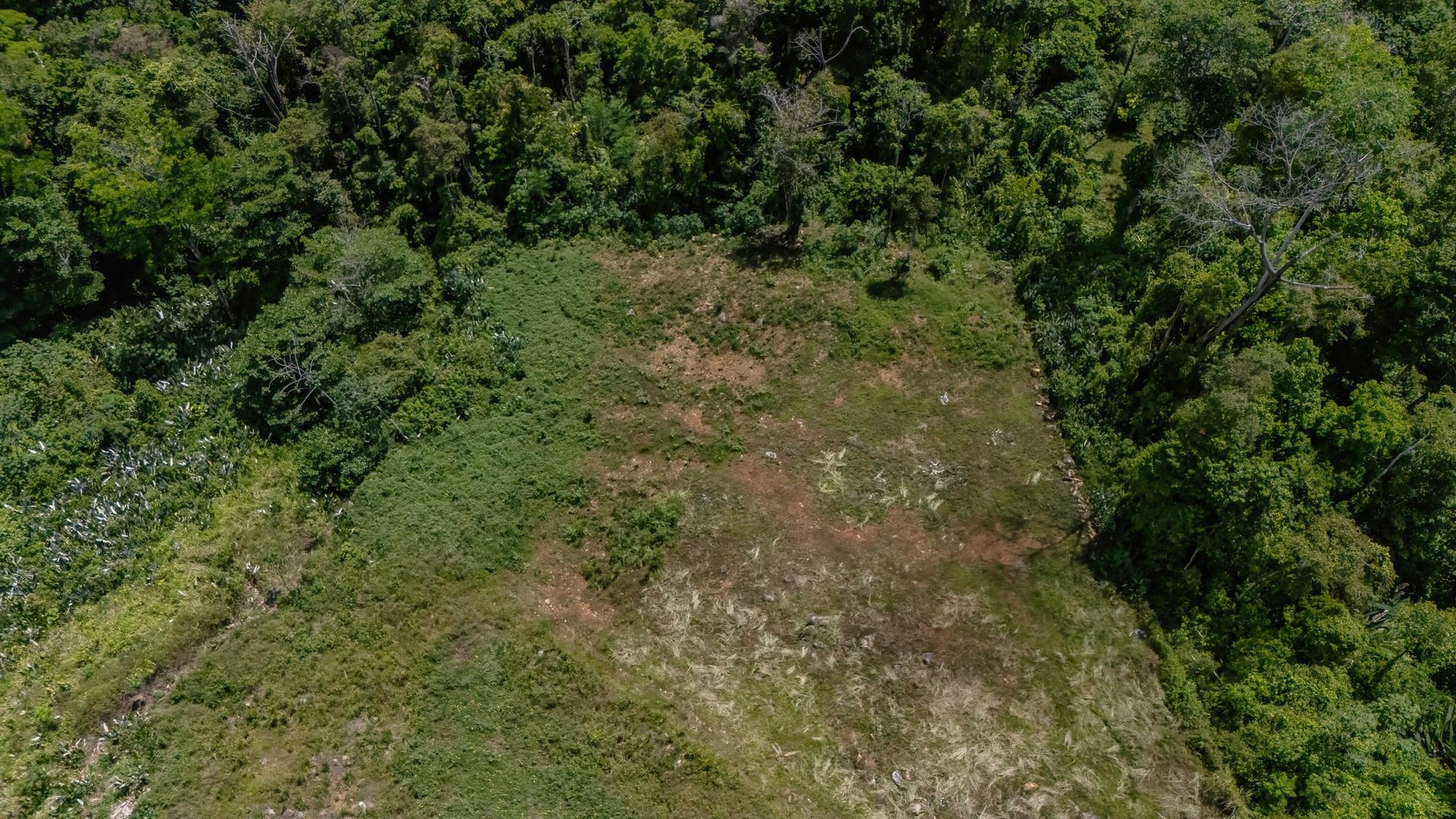 4 Acres of USABLE Land with Mountain and Ocean Views in Cinco Ventanas