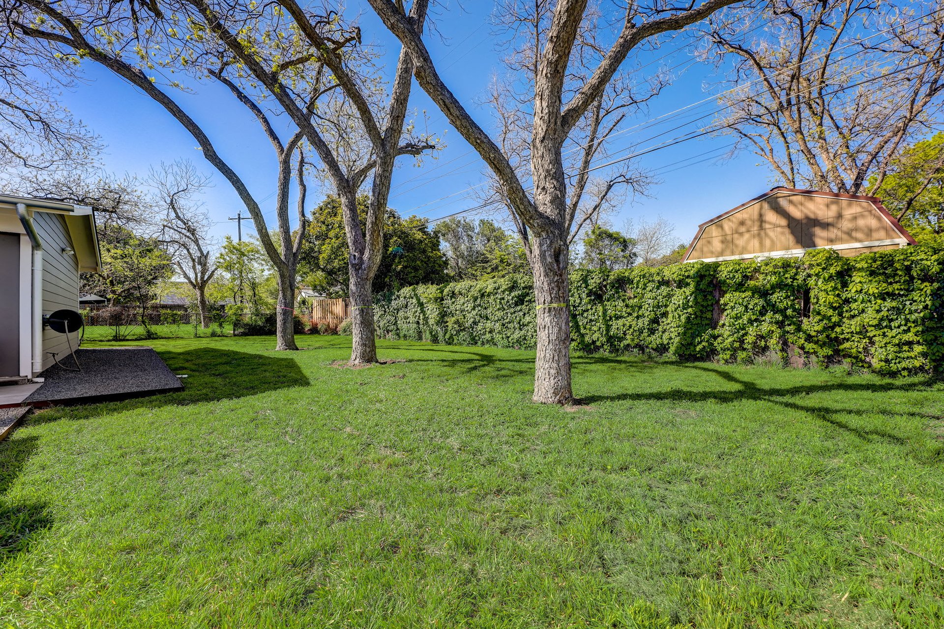 Stunning modern mid-century rebuilt home in the sought-after Delwood Heights near Mueller!