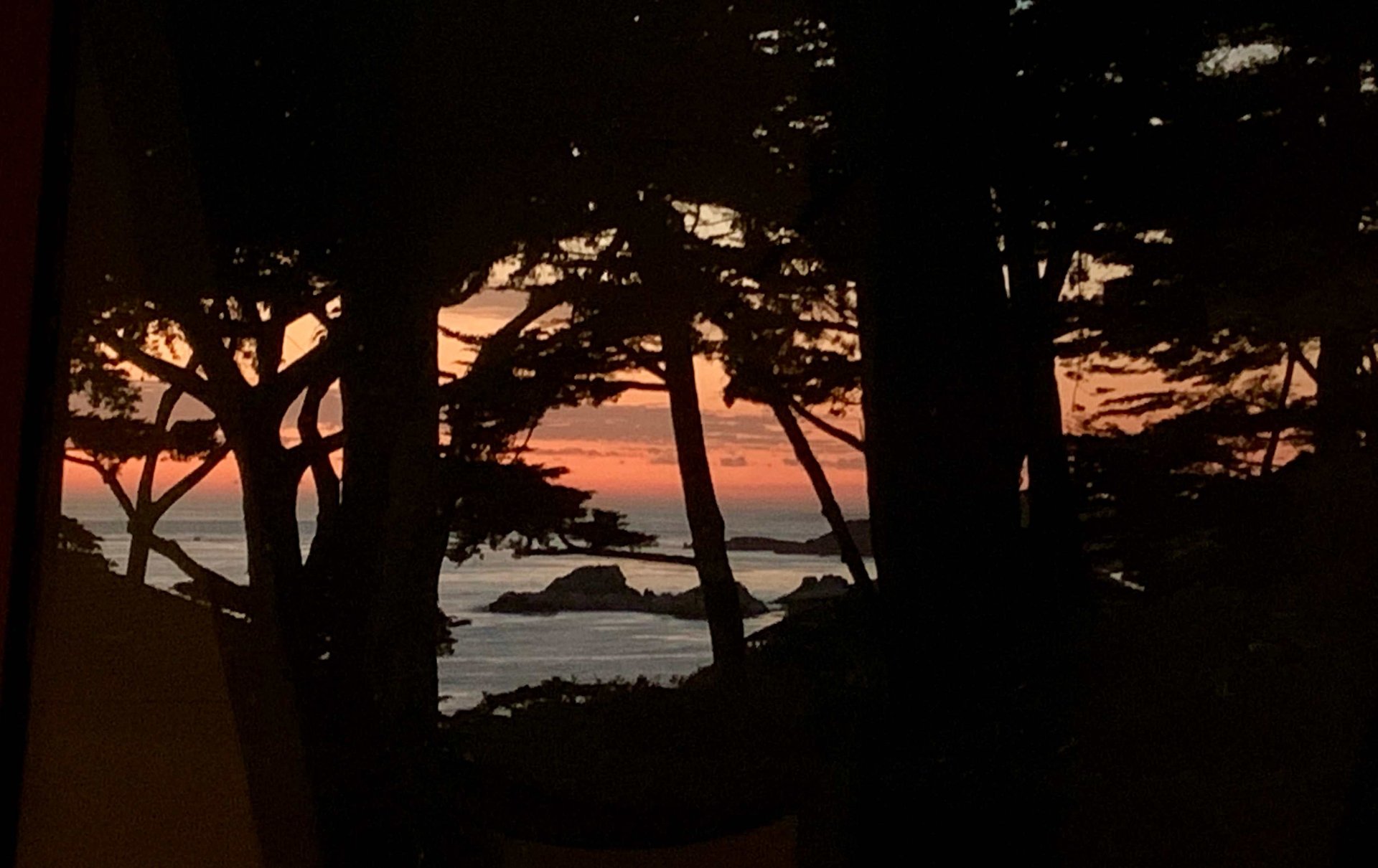 Ocean View Mid-Century Modern
