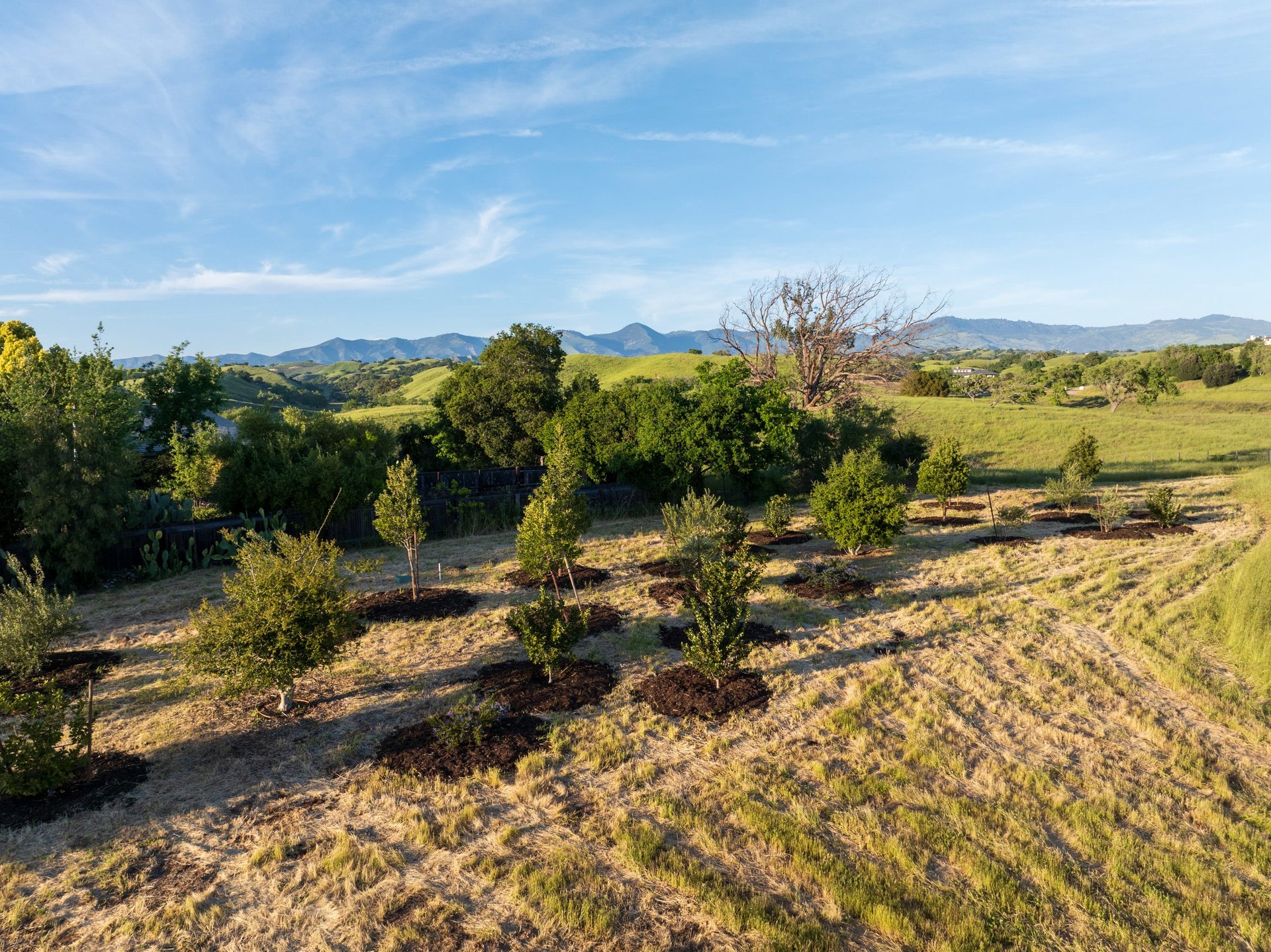 RARE LAND OPPORTUNITY IN LOS OLIVOS