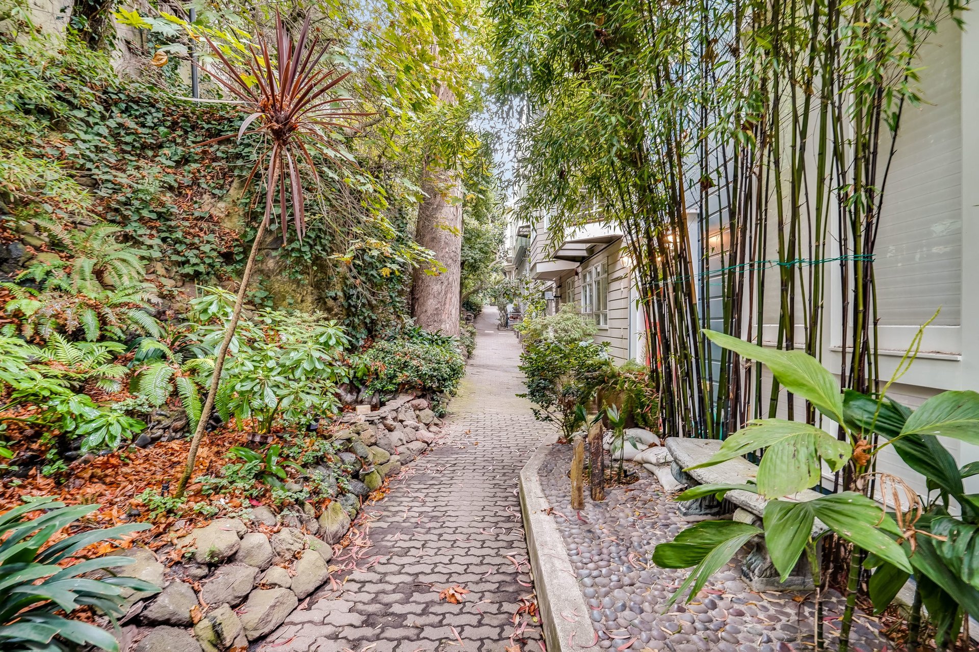 44 Macondray Lane Unit: 1E