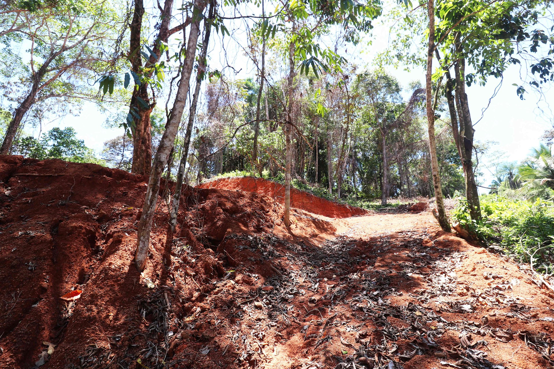 Over One Acre Attractive Lot on the Popular PEREZOSO Road.