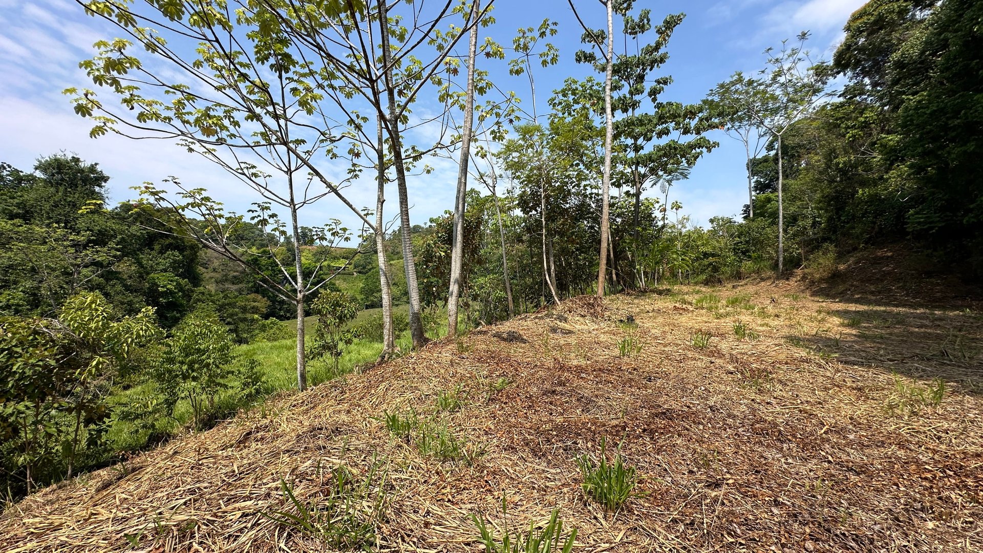 Hills of Portalon, Ocean View 