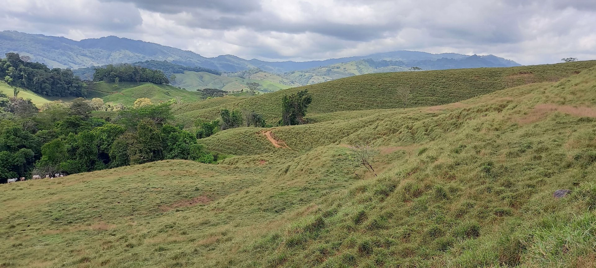 38 Acres Ideal For Sustainable Living