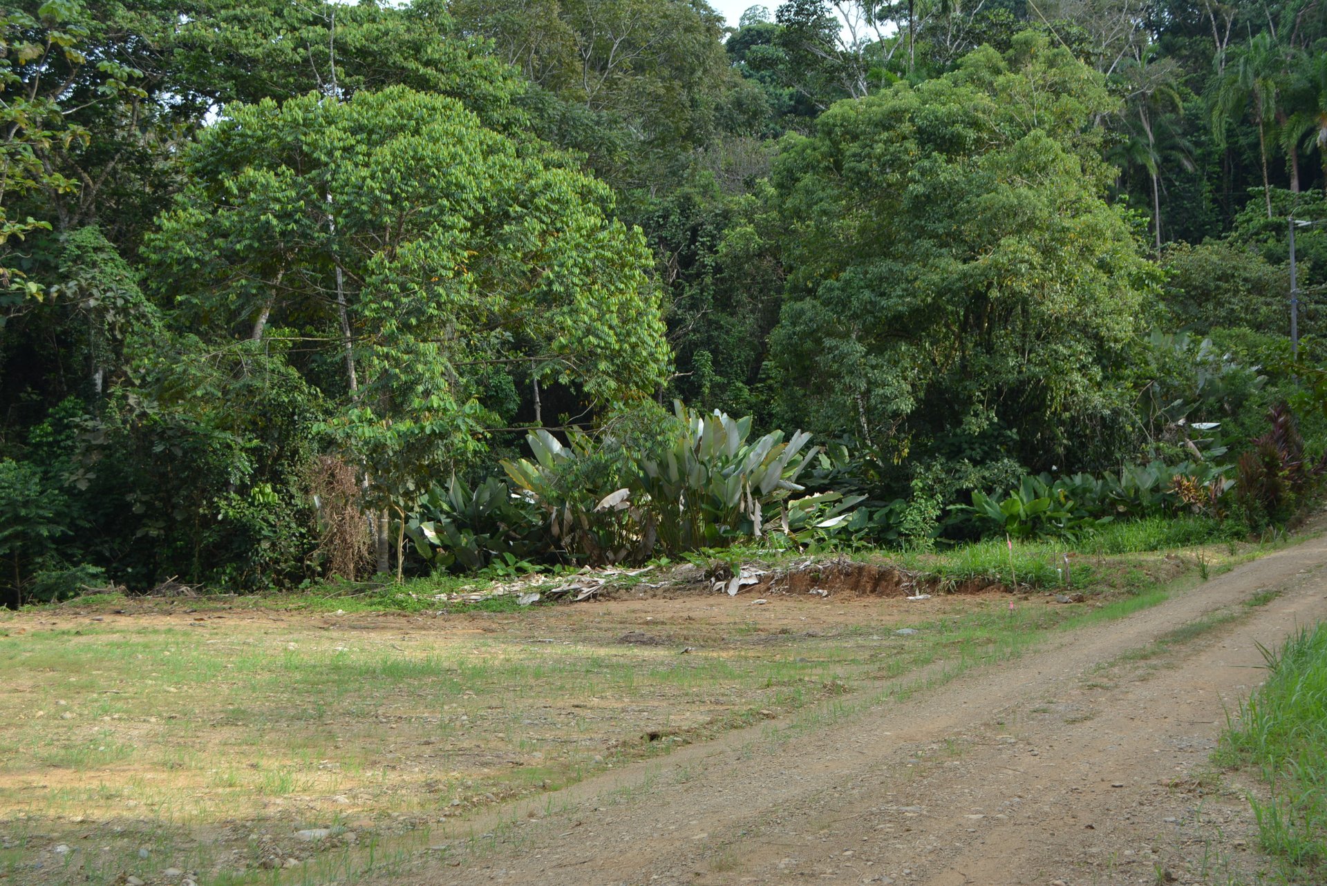 Lagunas 5 Lots 1 Acre+ Lagunas/Dominical
