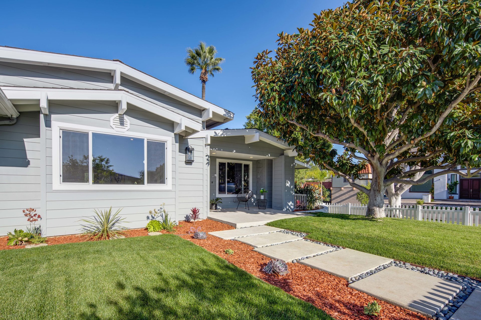 342 Peach Tree