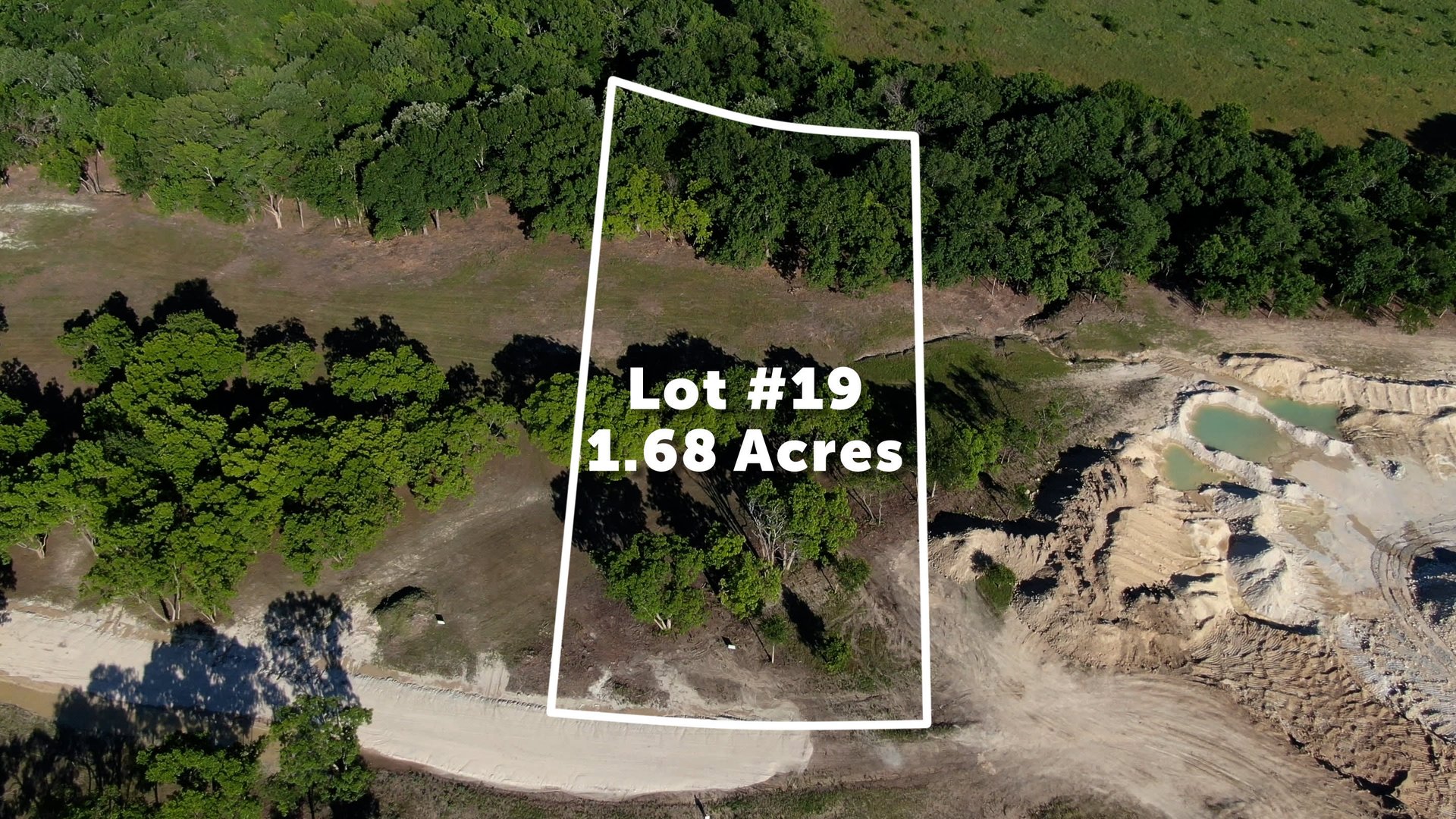 Lot 19
