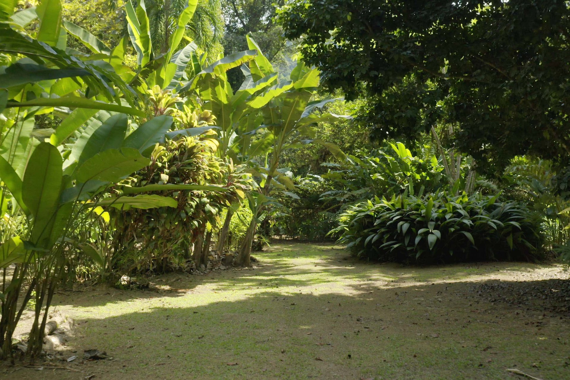 Riverside and Botanical Gardens Retreat