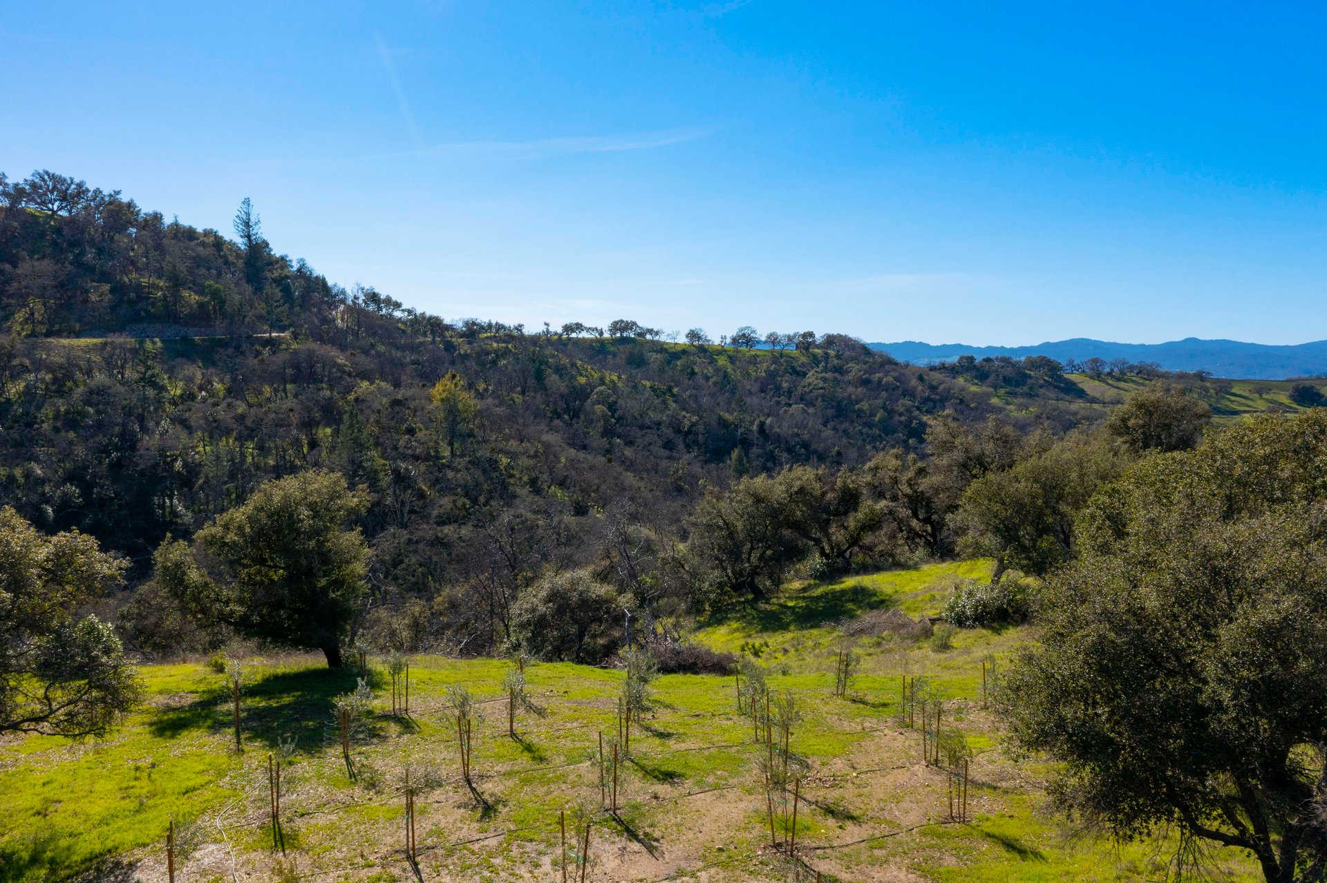Starfall Estate