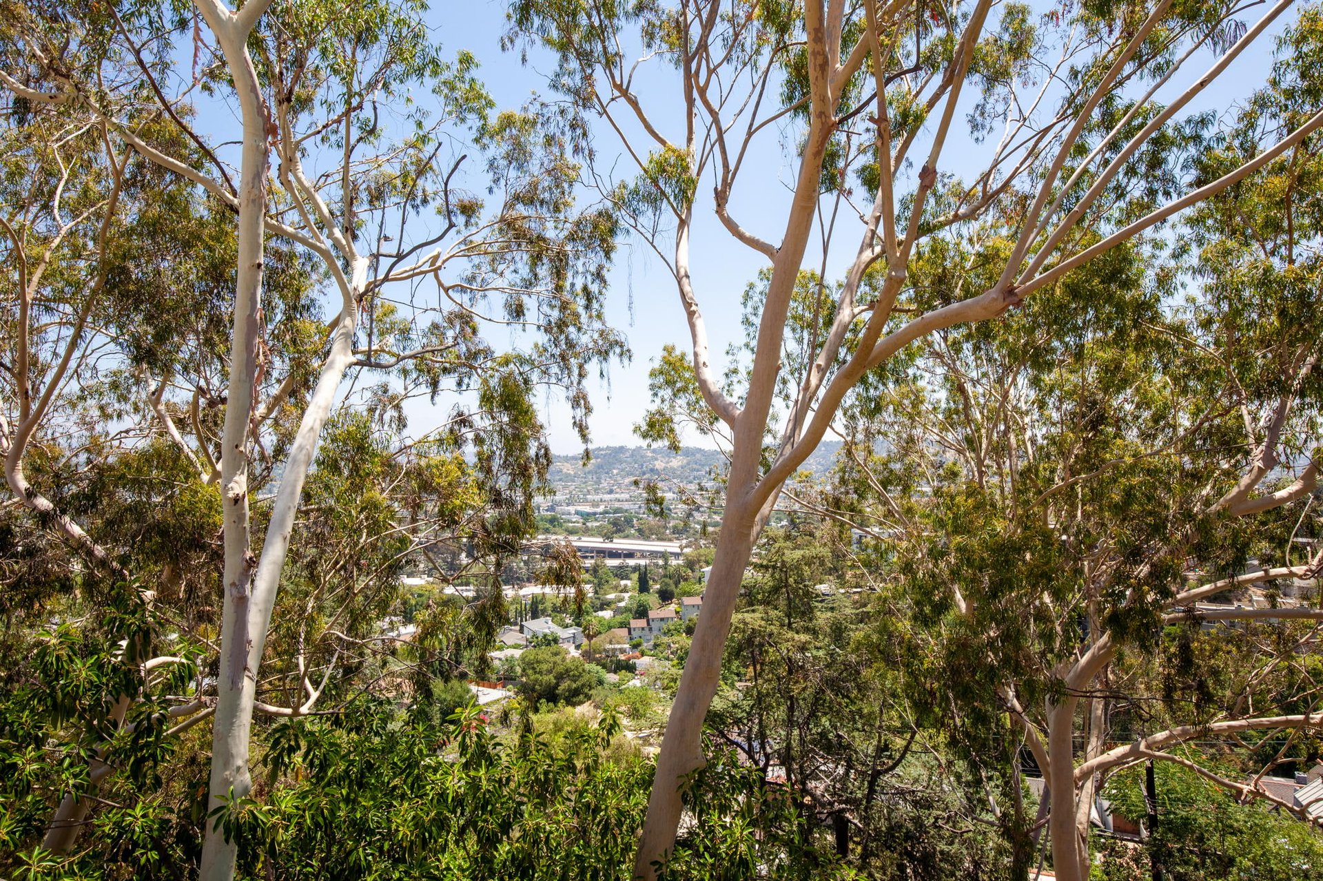 Magnificent Post and Beam Mid-Century Modern Duplex in Silverlake