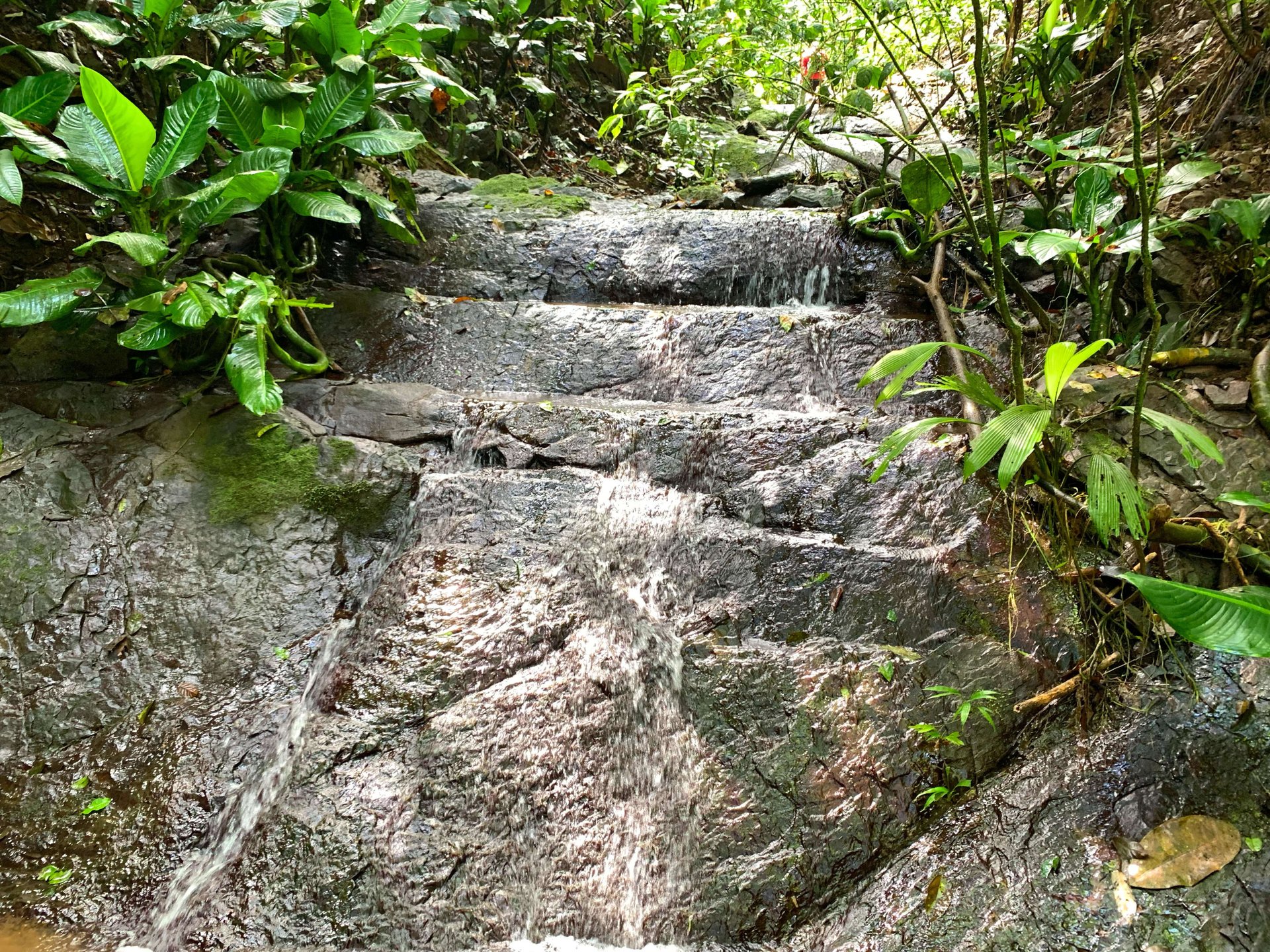 Mountain land with ocean view of Manuel Antonio/Quepos Quepos Puntarenas