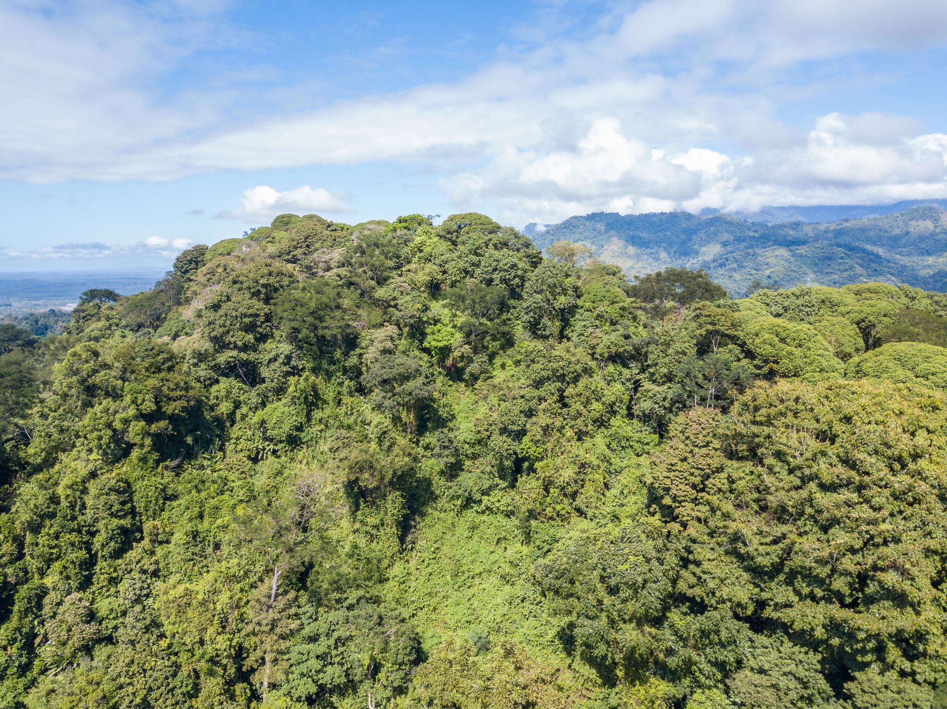 Mountain land with ocean view of Manuel Antonio/Quepos Quepos Puntarenas