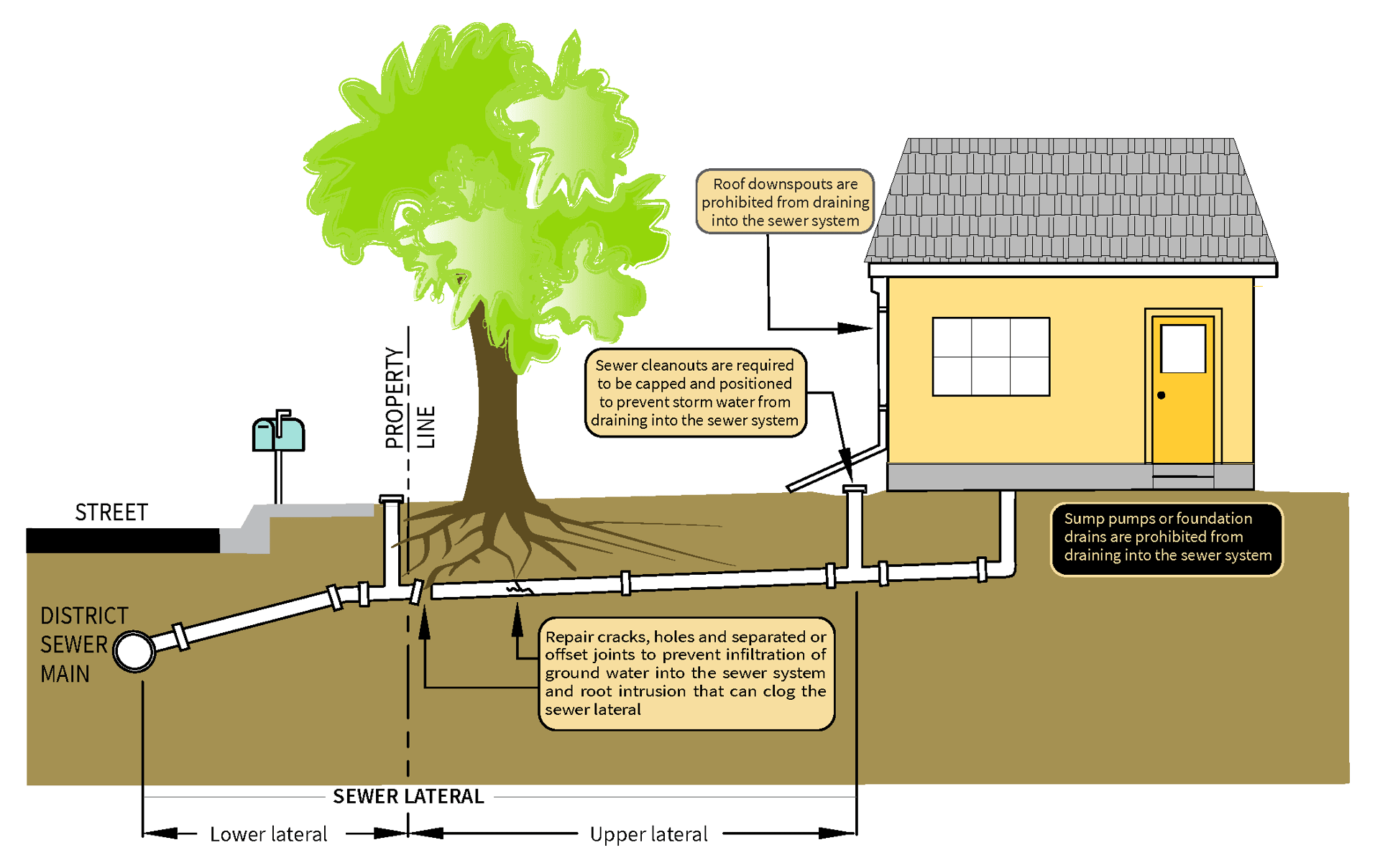 Sewer Laterals - what are they?