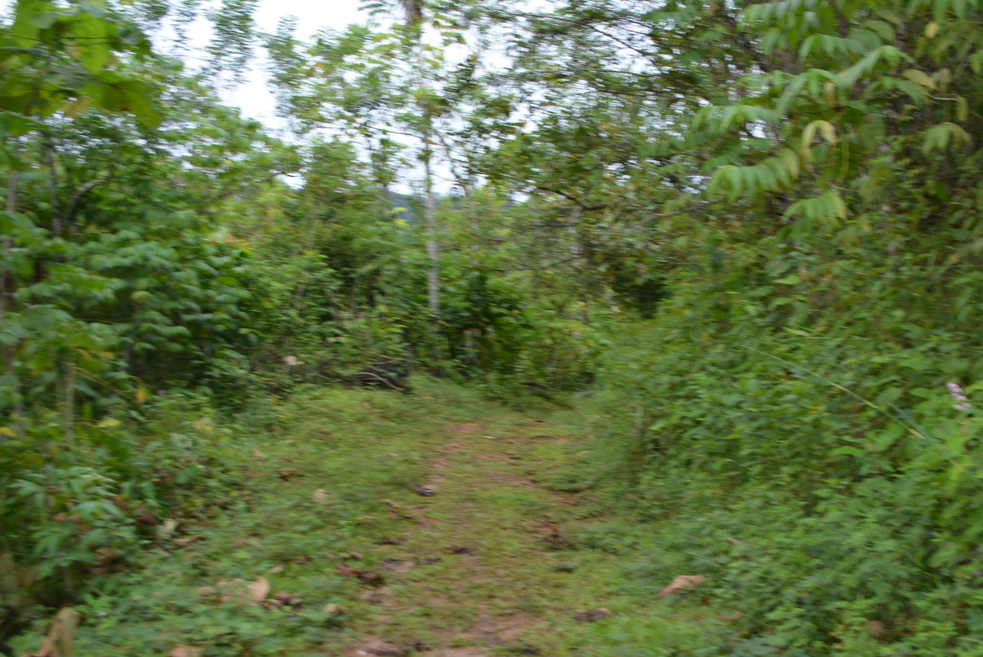 27.6 Acres On The Rio Morenos