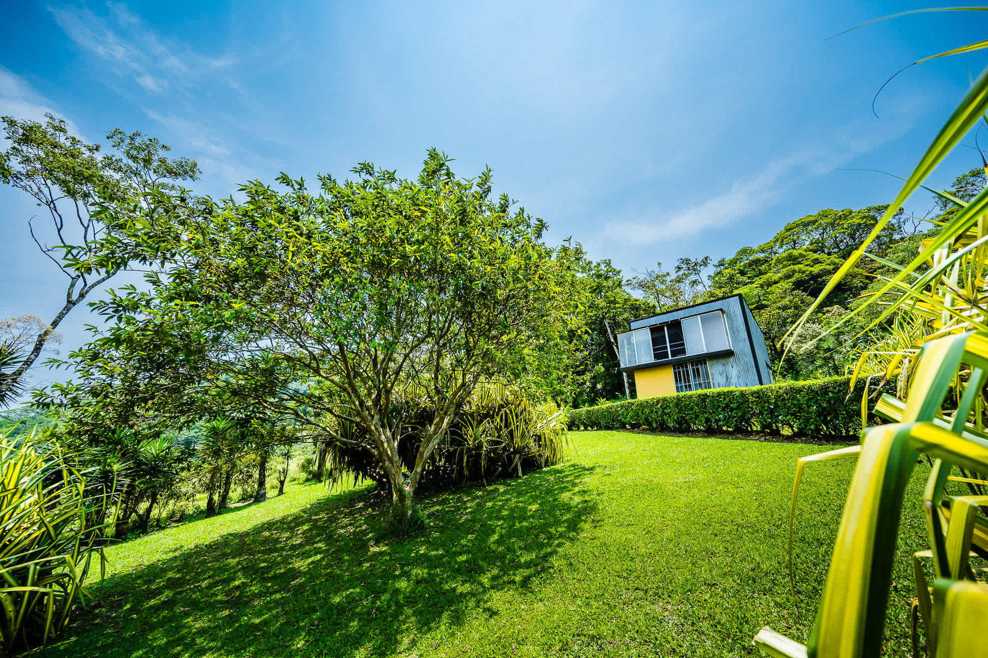 Celeste Mountain Lodge | Mountain Hotel/Resort/Hostel For Sale!