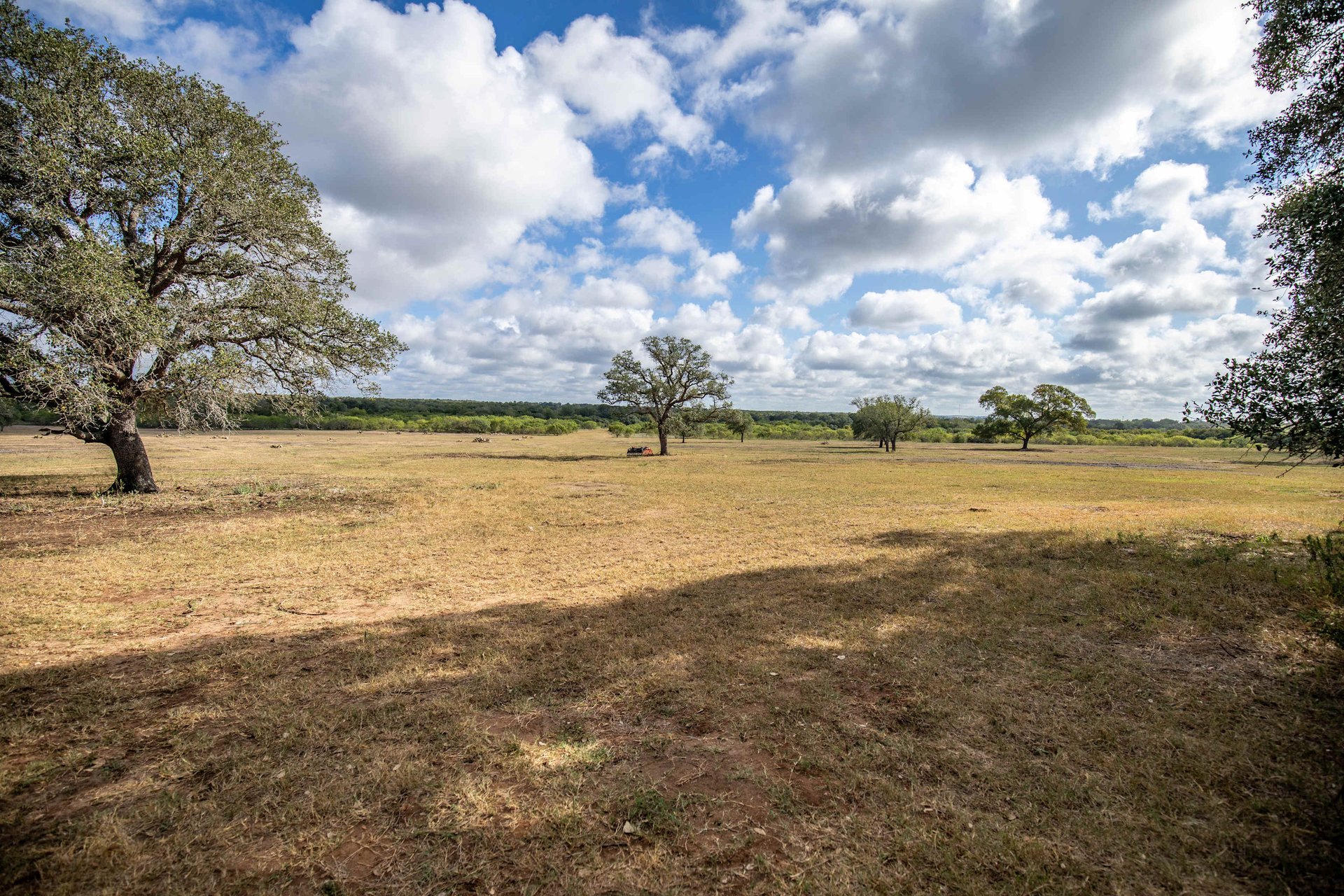 The Poco Loco | 278± Acres | DeWitt County