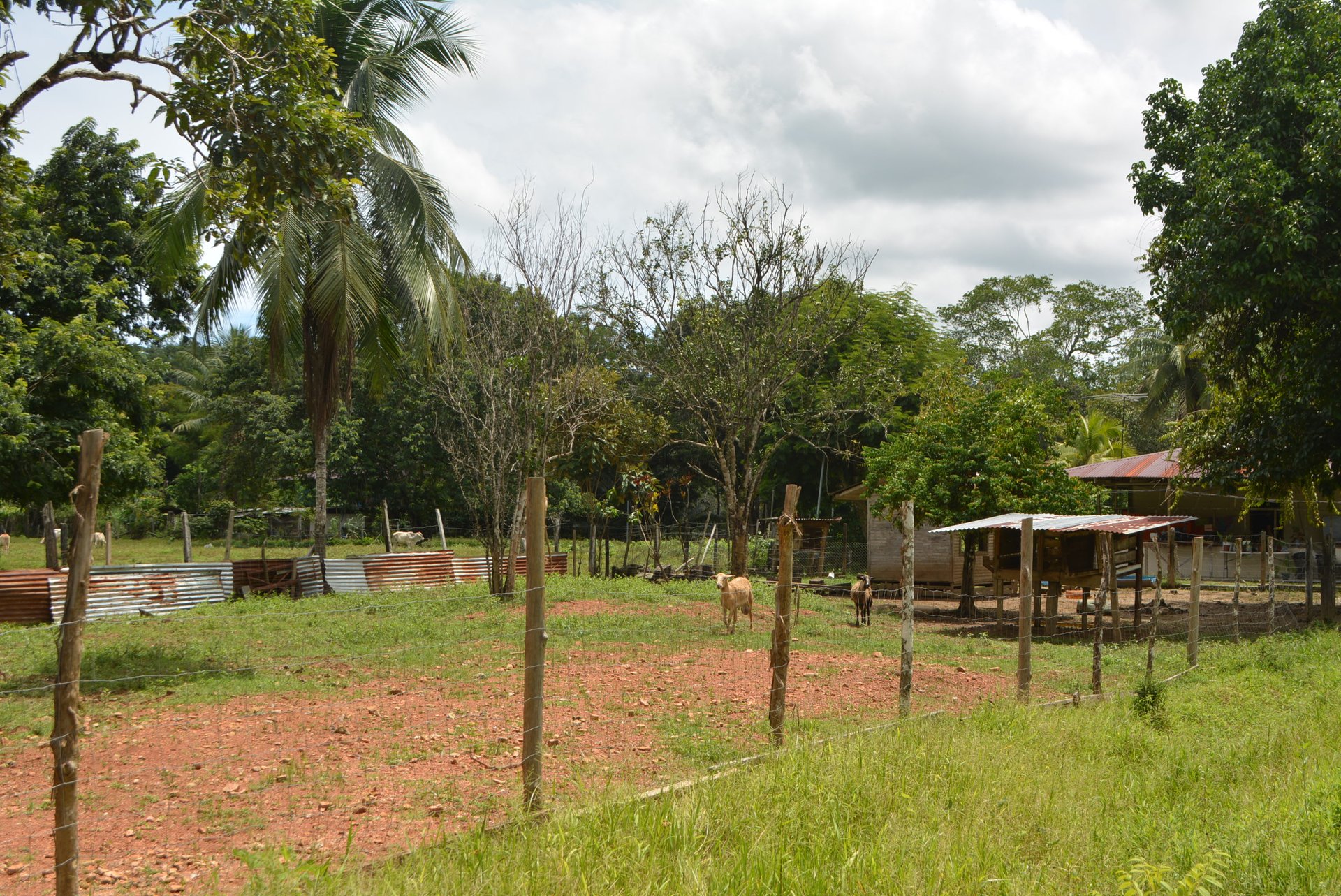 10 Acre Rio Sierpe Paradise Residential And Cabinas
