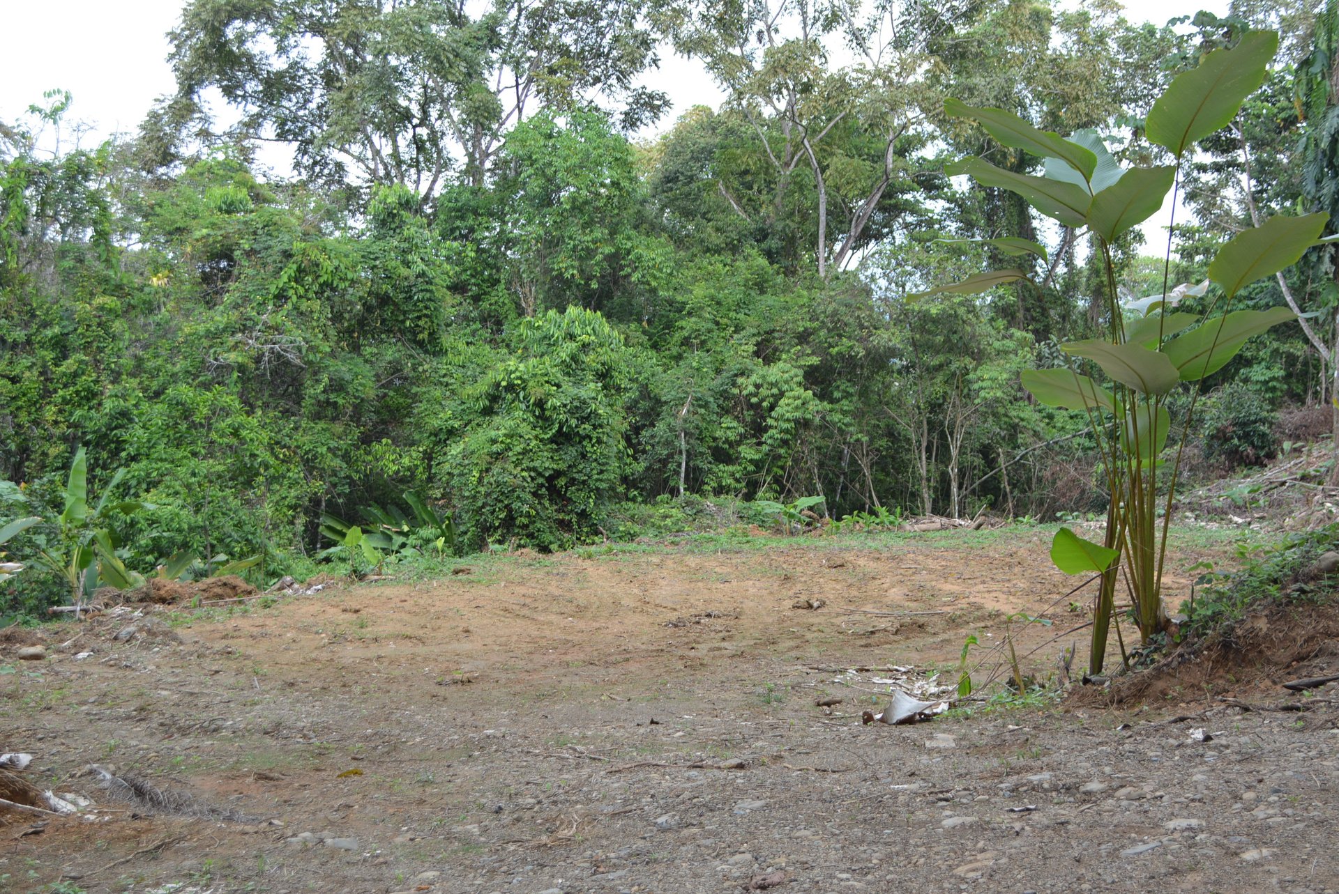 Lagunas 5 Lots 1 Acre+ Lagunas/Dominical