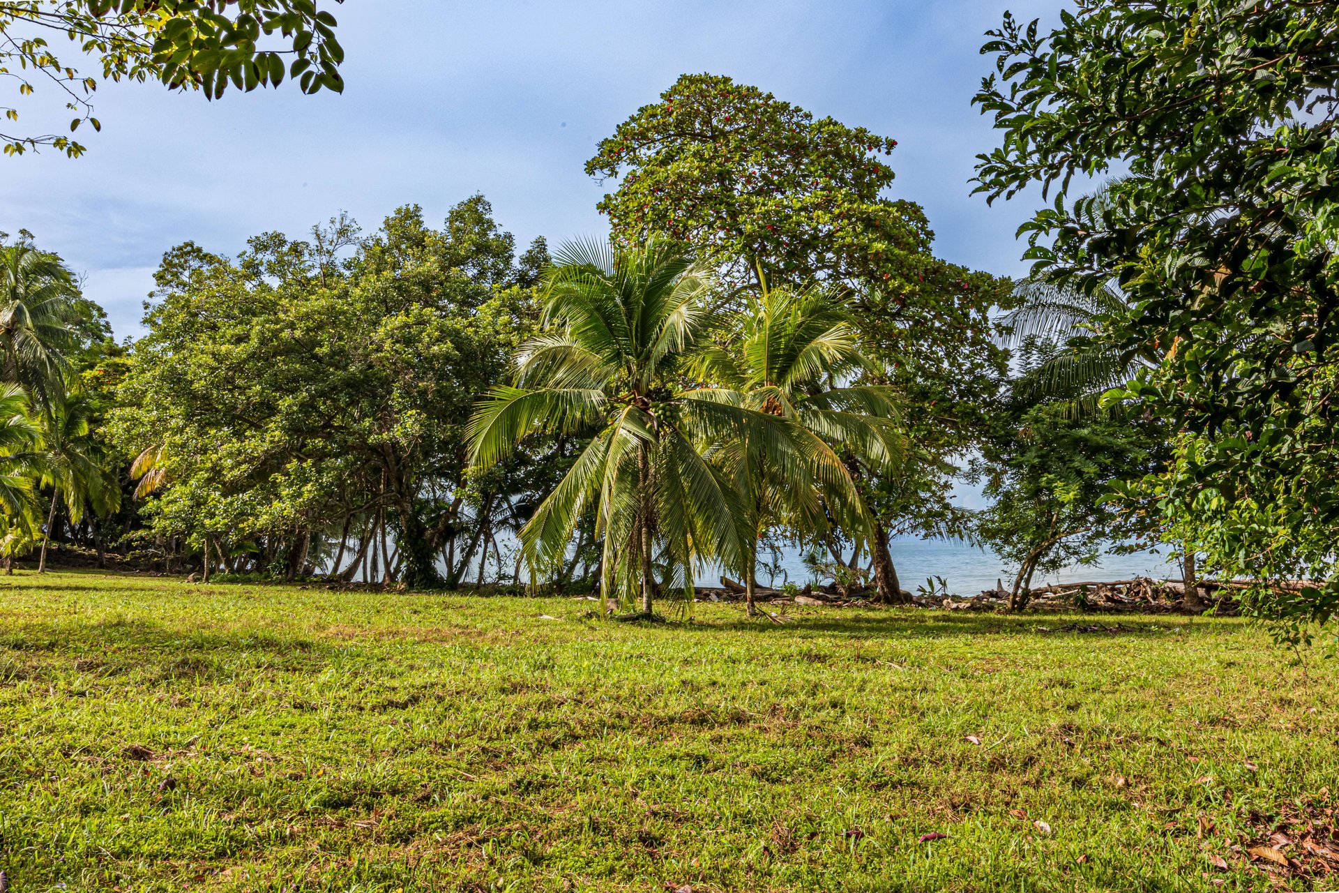Seaside Serenity Property In Puerto Nuevo, Uvita