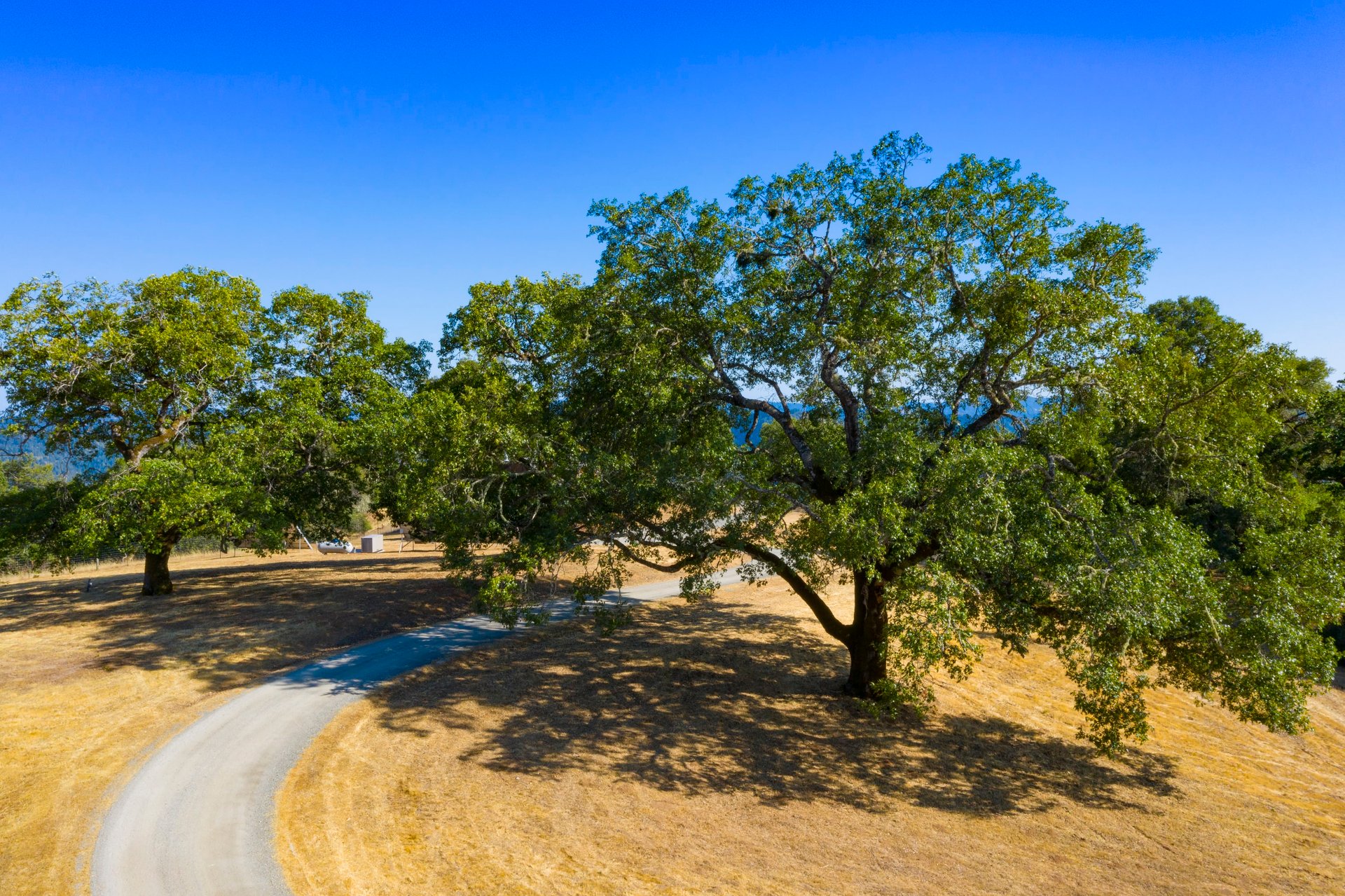 Modern Anderson Valley Enclave