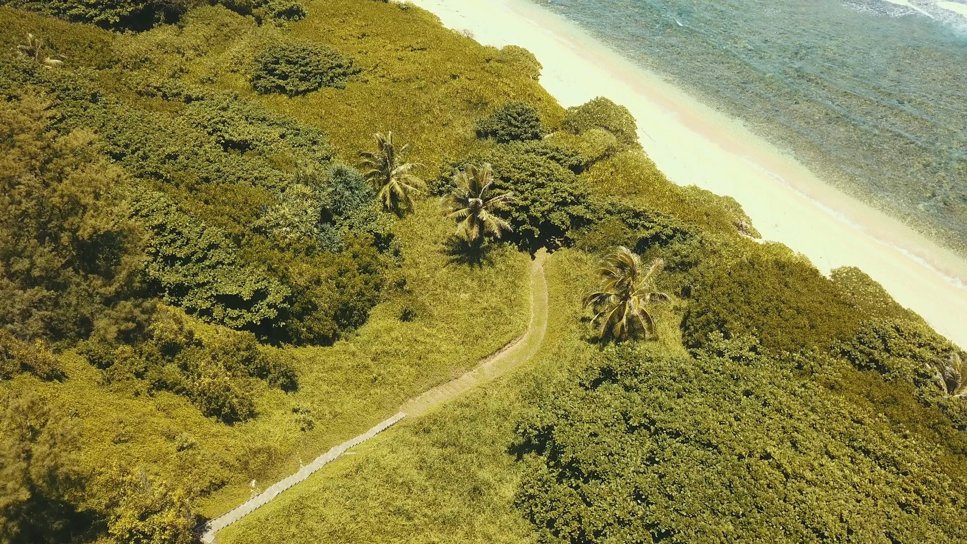 All Encompassing Luxury Estate With Ocean Views, Beach Access & Self Sufficiency