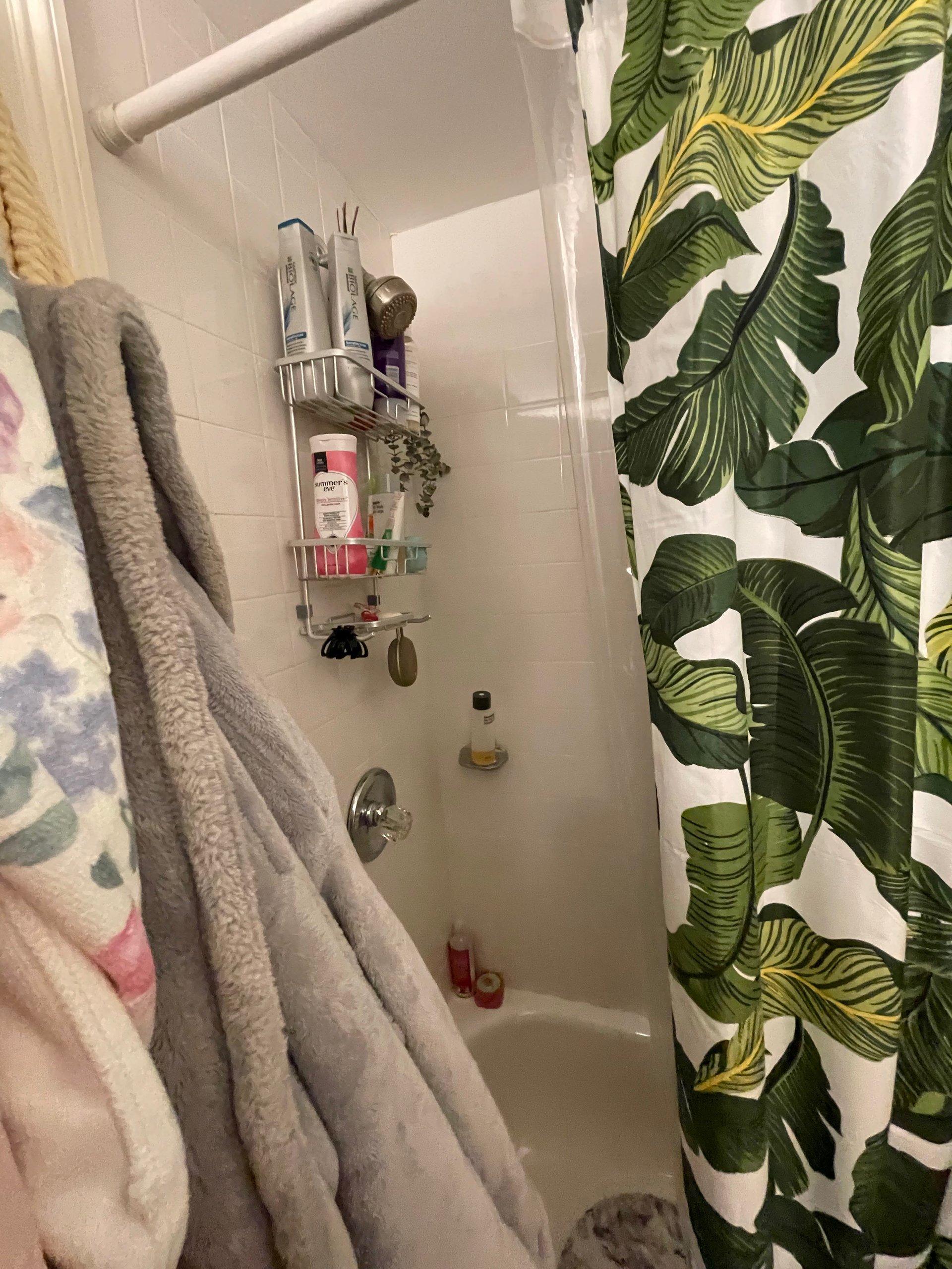 Appleton Street One Bed - Heat and Hot Water Included! available APRIL! Pets Negotiable! 