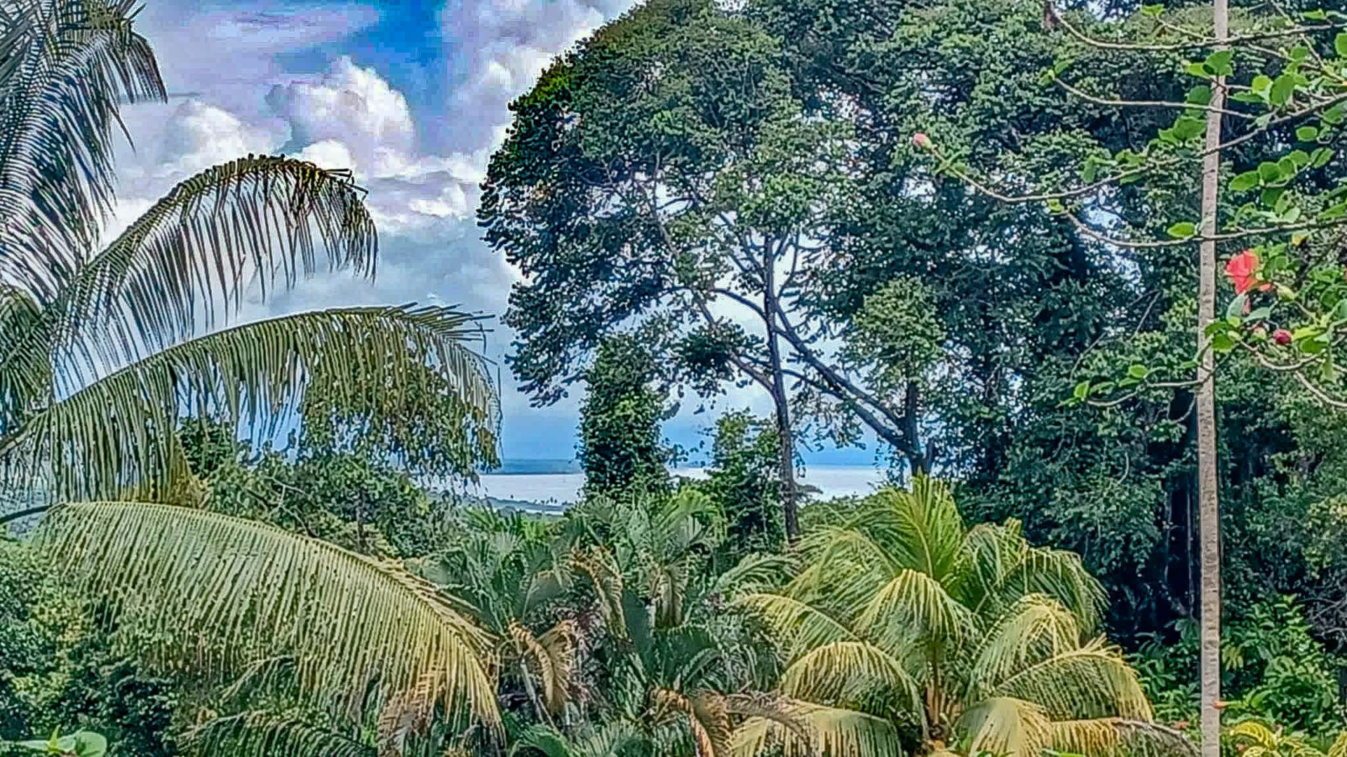 2-Bedroom Jungle Home with River, Waterfall & Pool on 3.8 Acres in Ojochal, Costa Rica